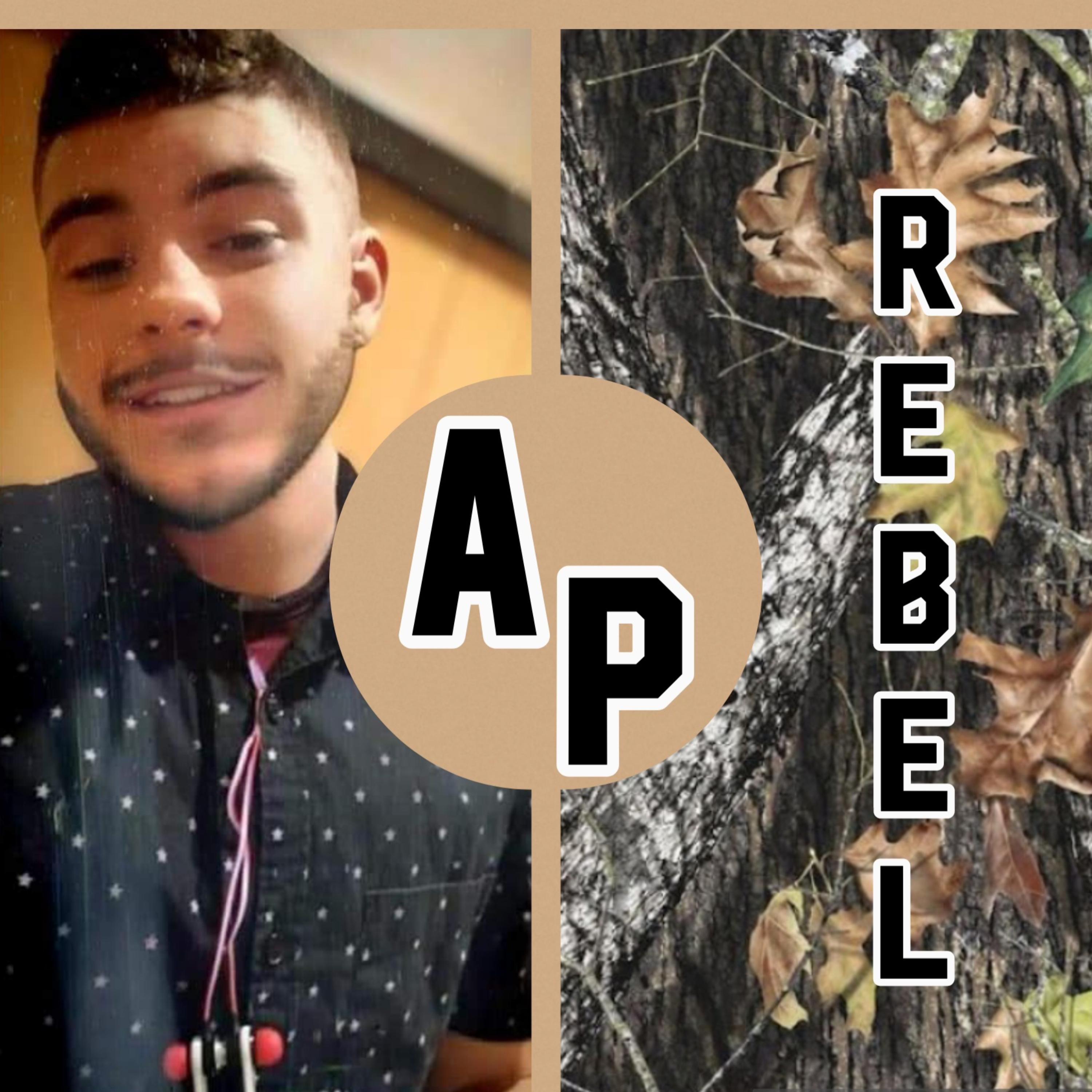 REBEL artwork