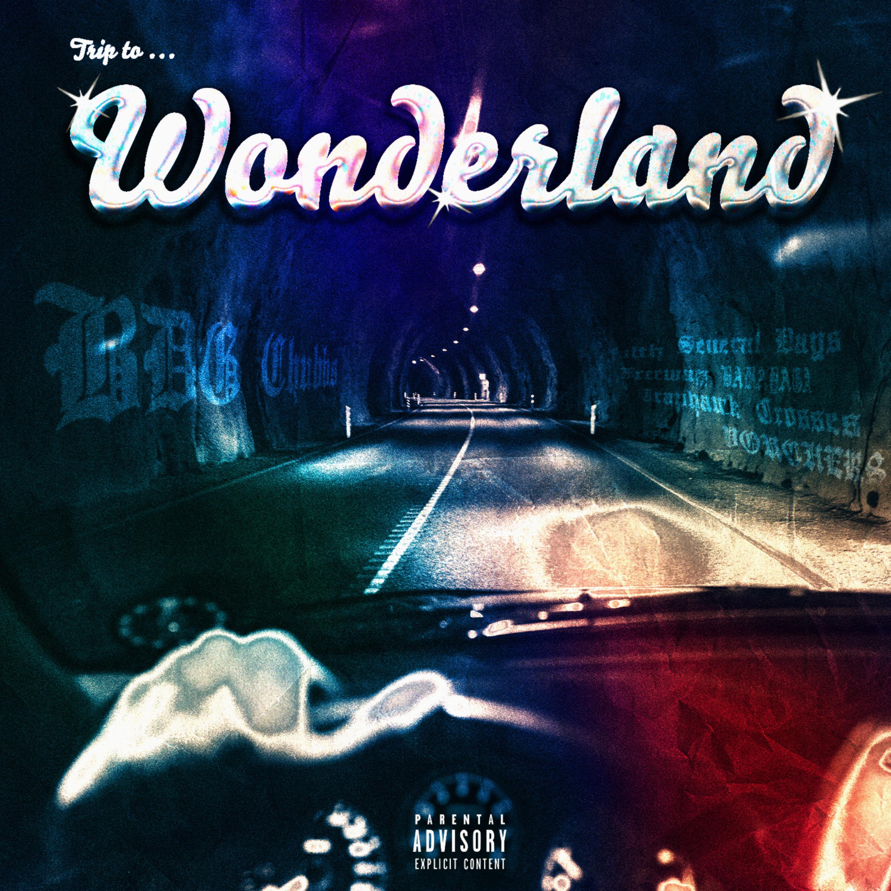 Trip to WonderLand artwork