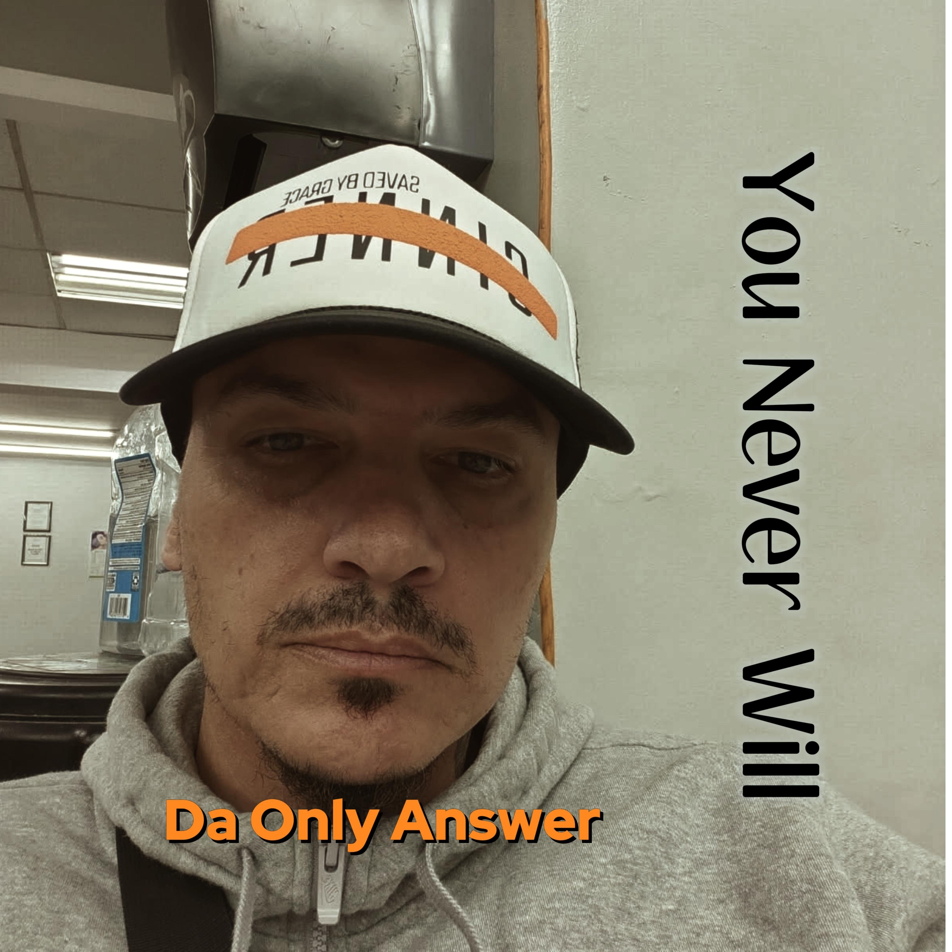 You Never Will artwork