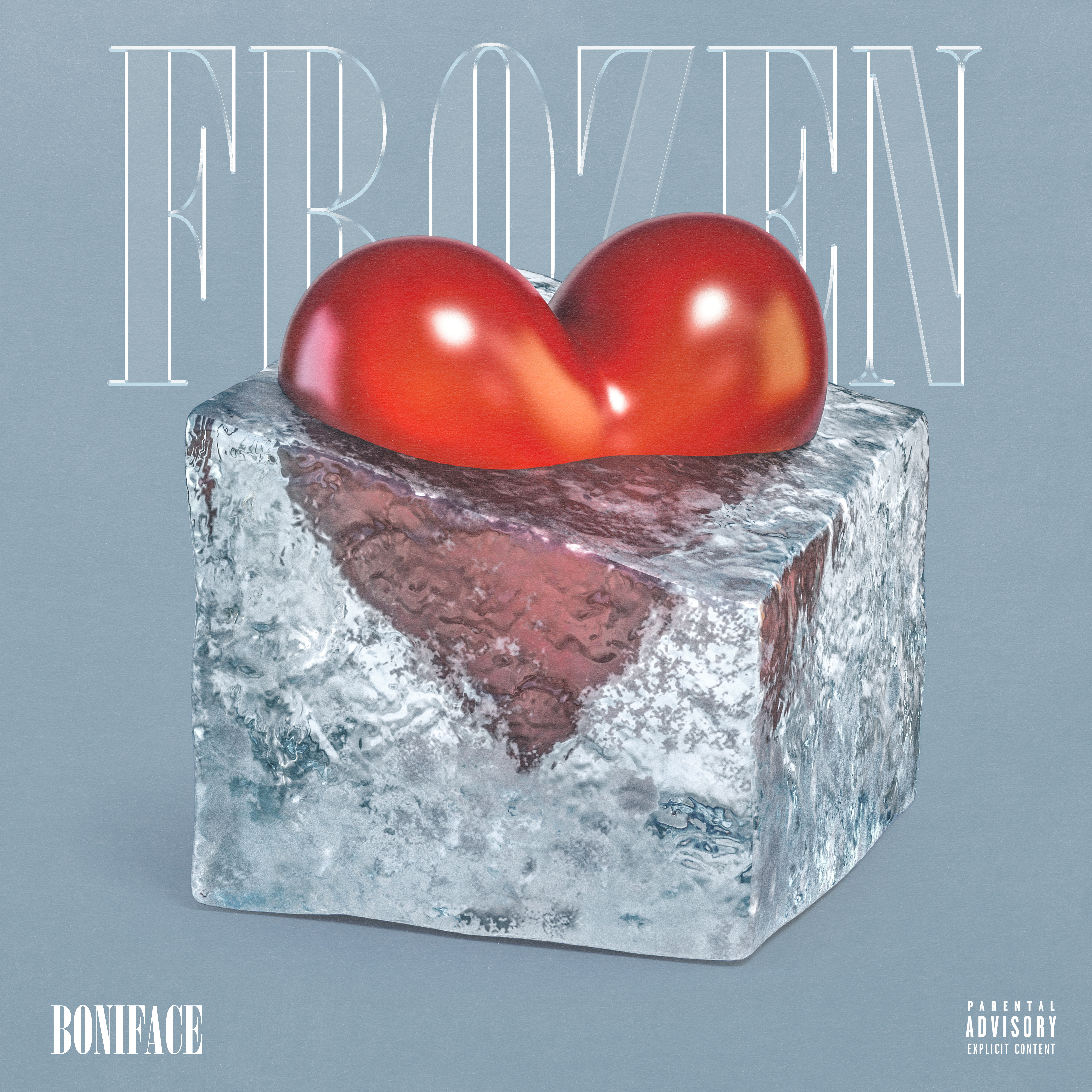 Frozen artwork