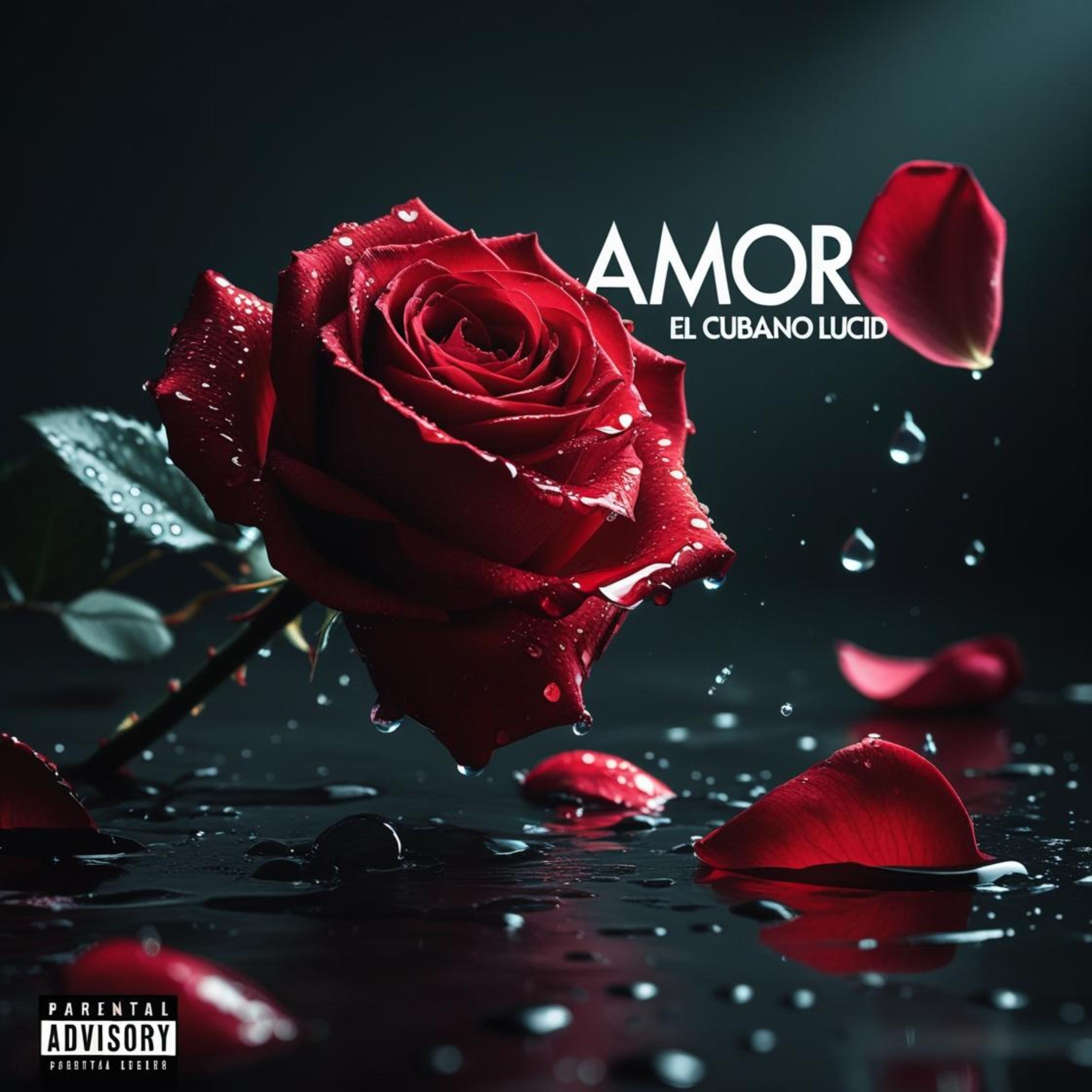 AMOR artwork