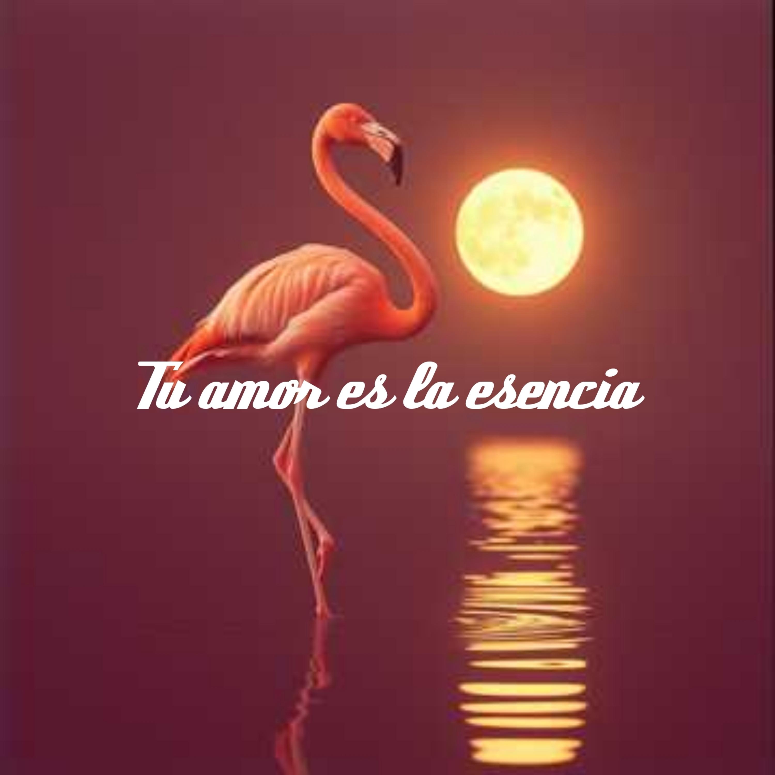 Tu amor es la esencia (Salsa) artwork