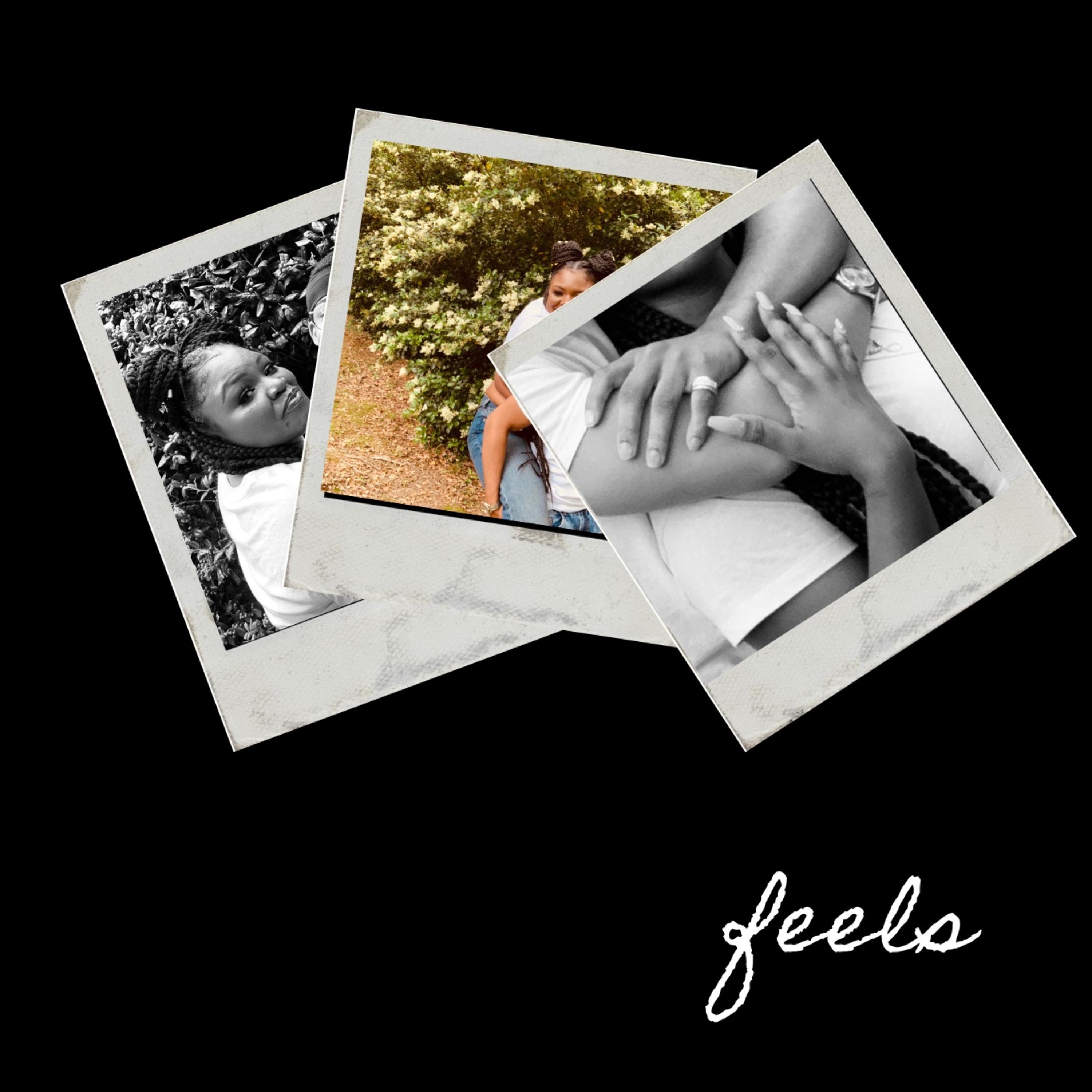 Feels by Jasmine Pollard cover art