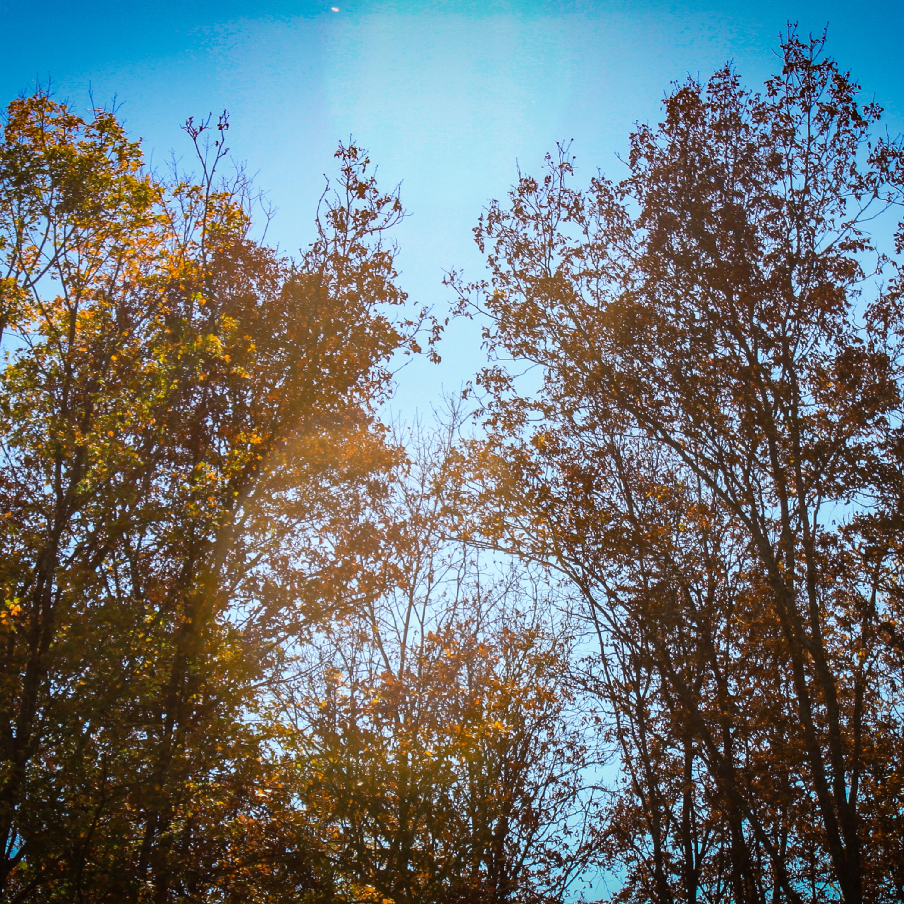 October Sunday artwork