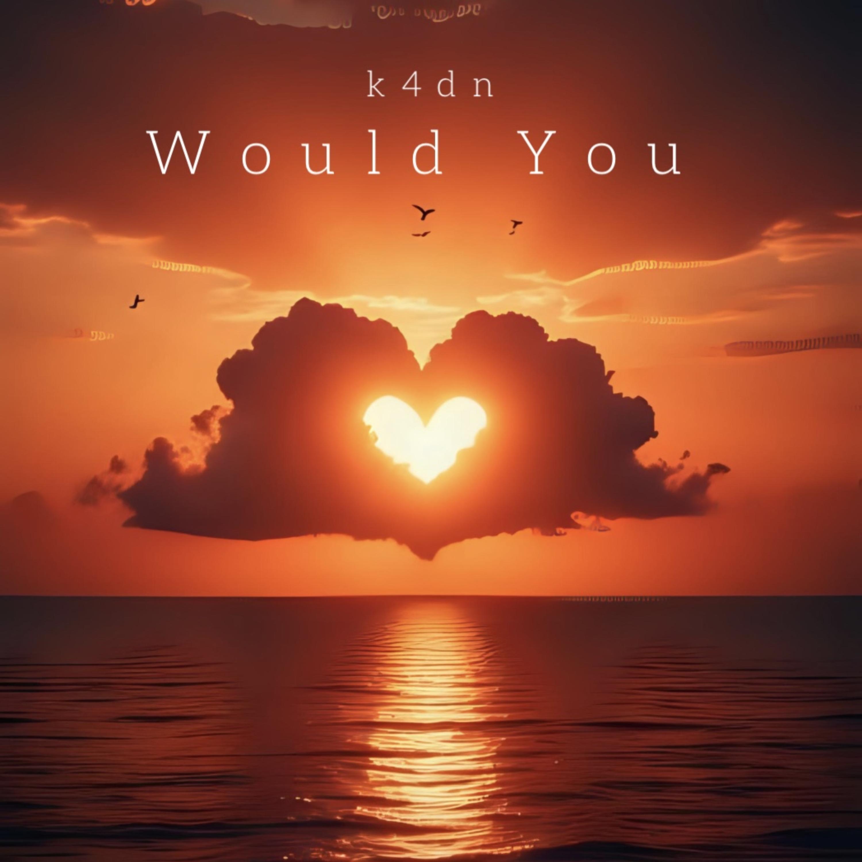 Would You? by k4dn cover art