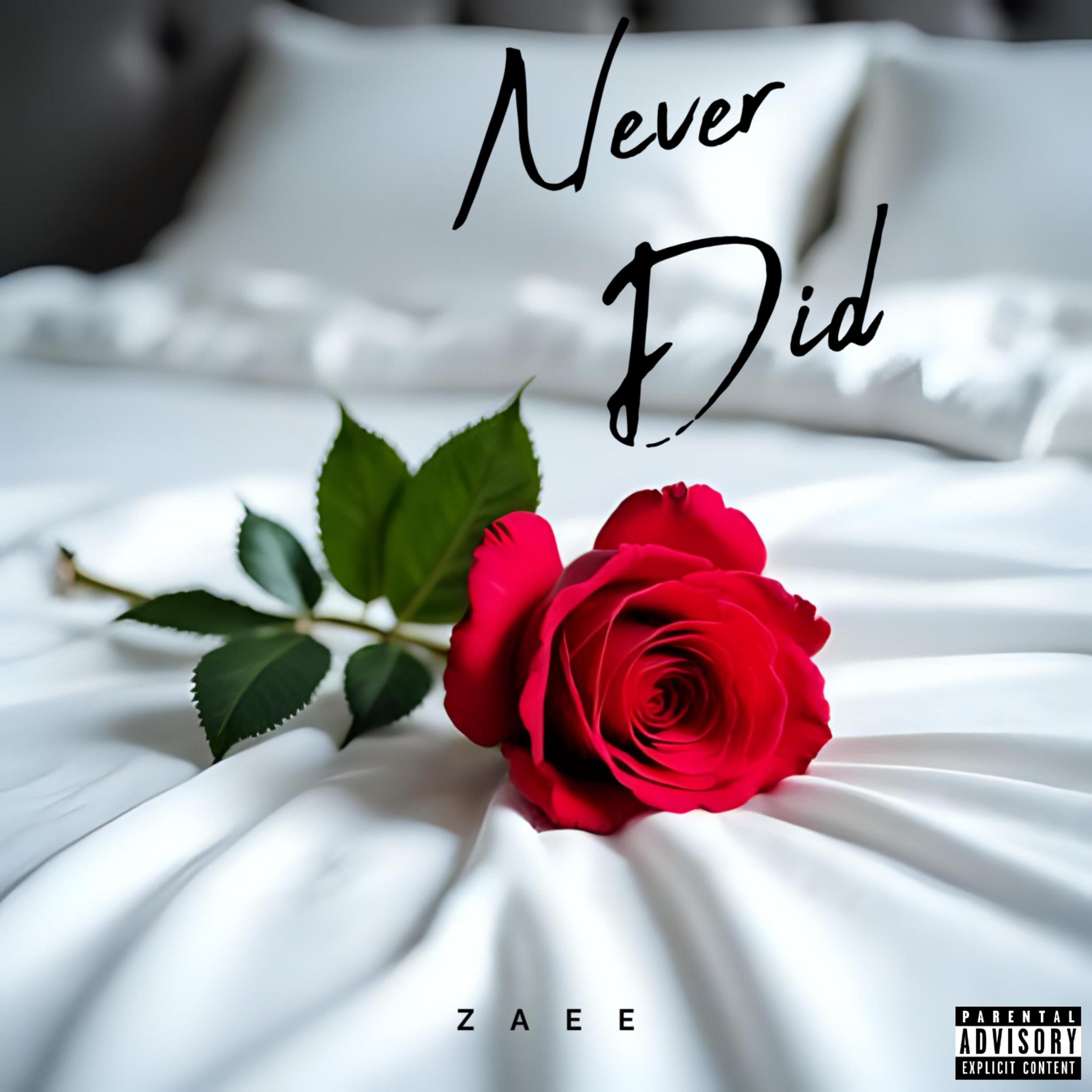 Never Did artwork