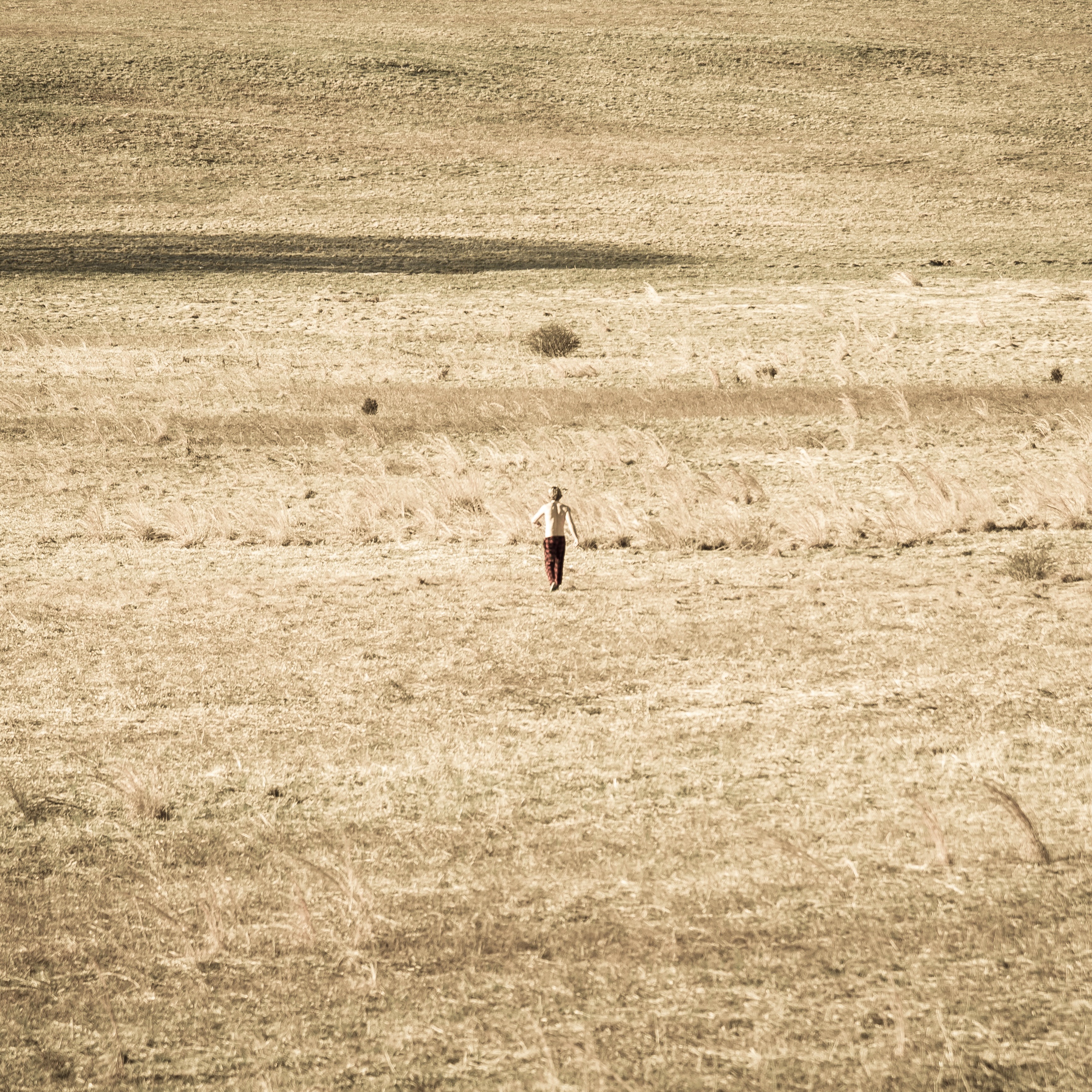 Nature's Calling artwork