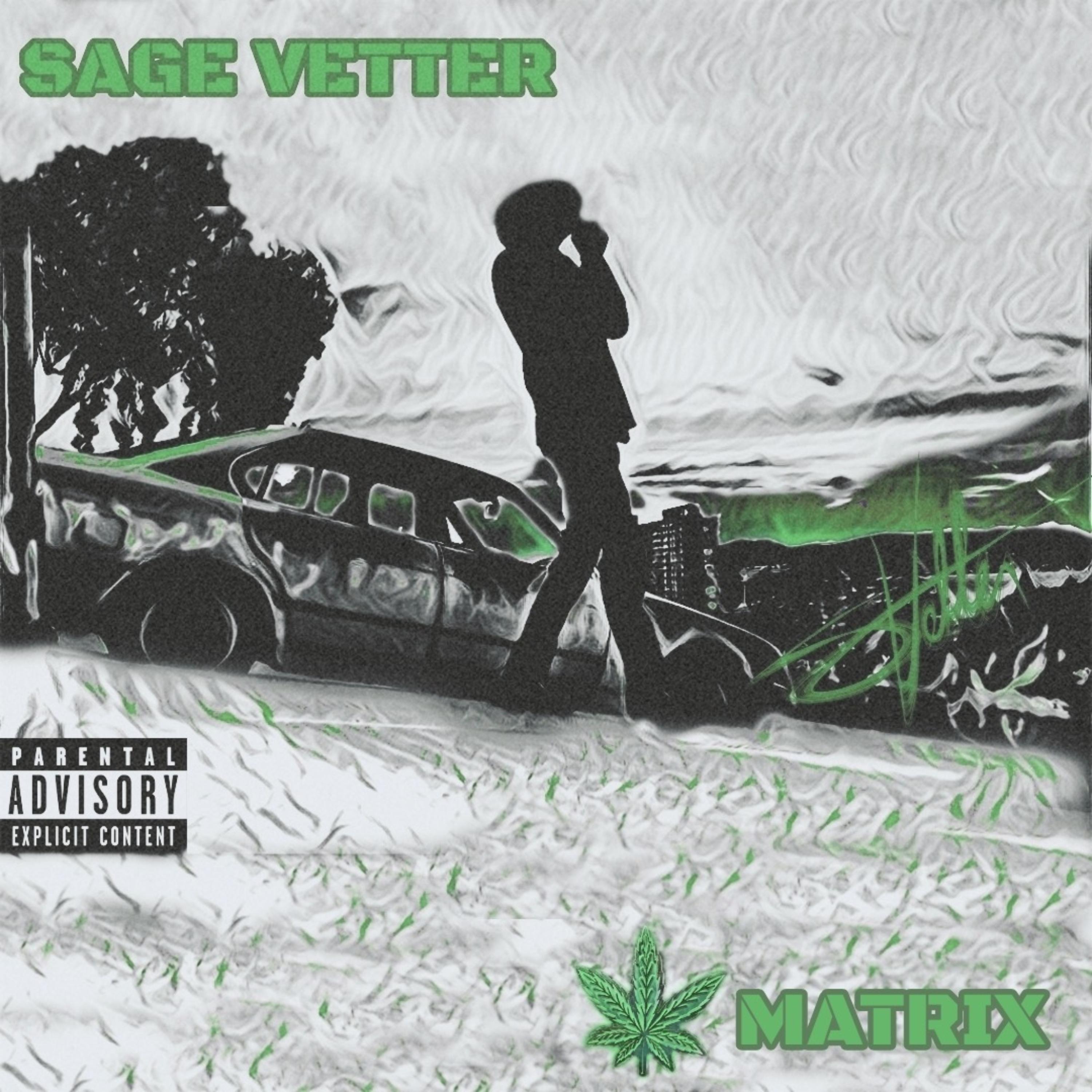 The Matrix by Sage Vetter cover art