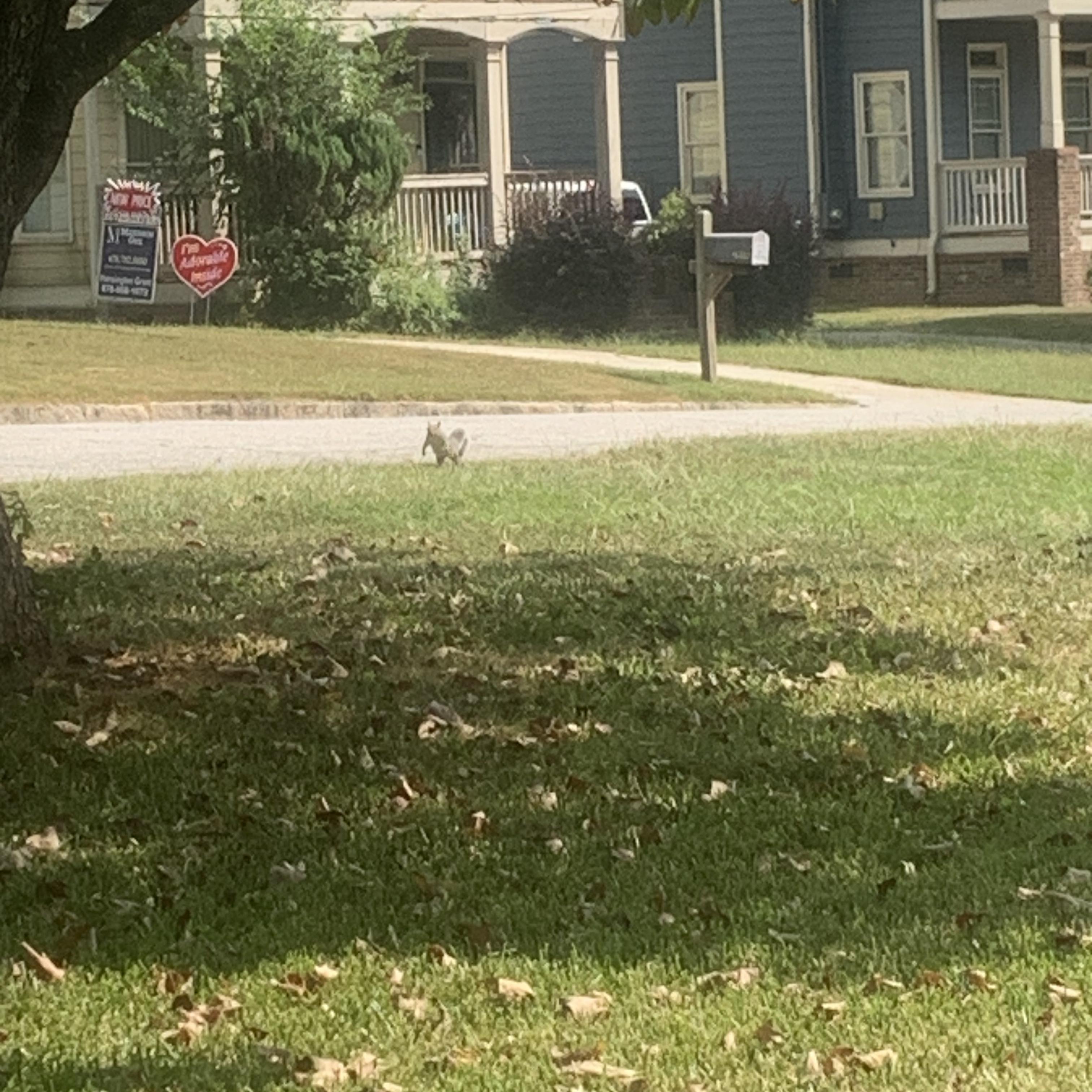 Sweet Tea Dreams artwork