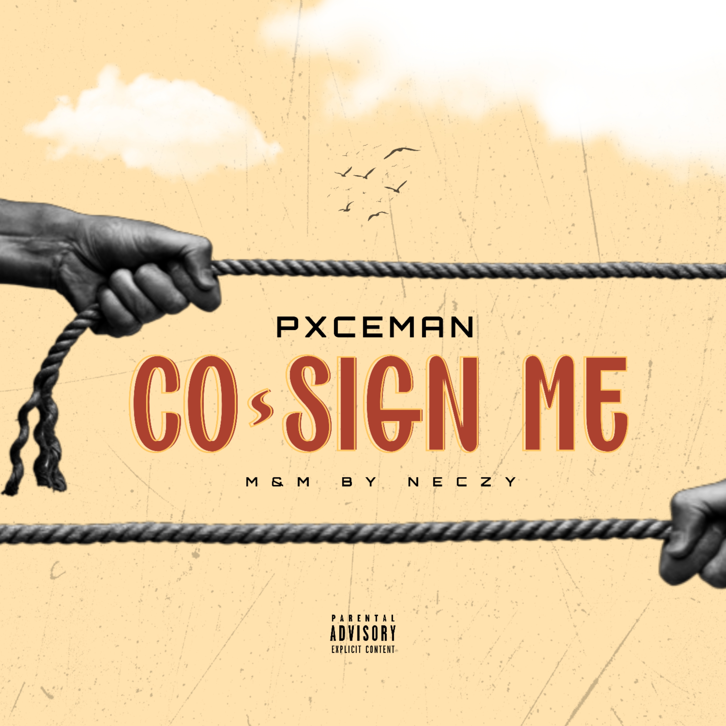 CO-SIGN ME (SPED UP) artwork