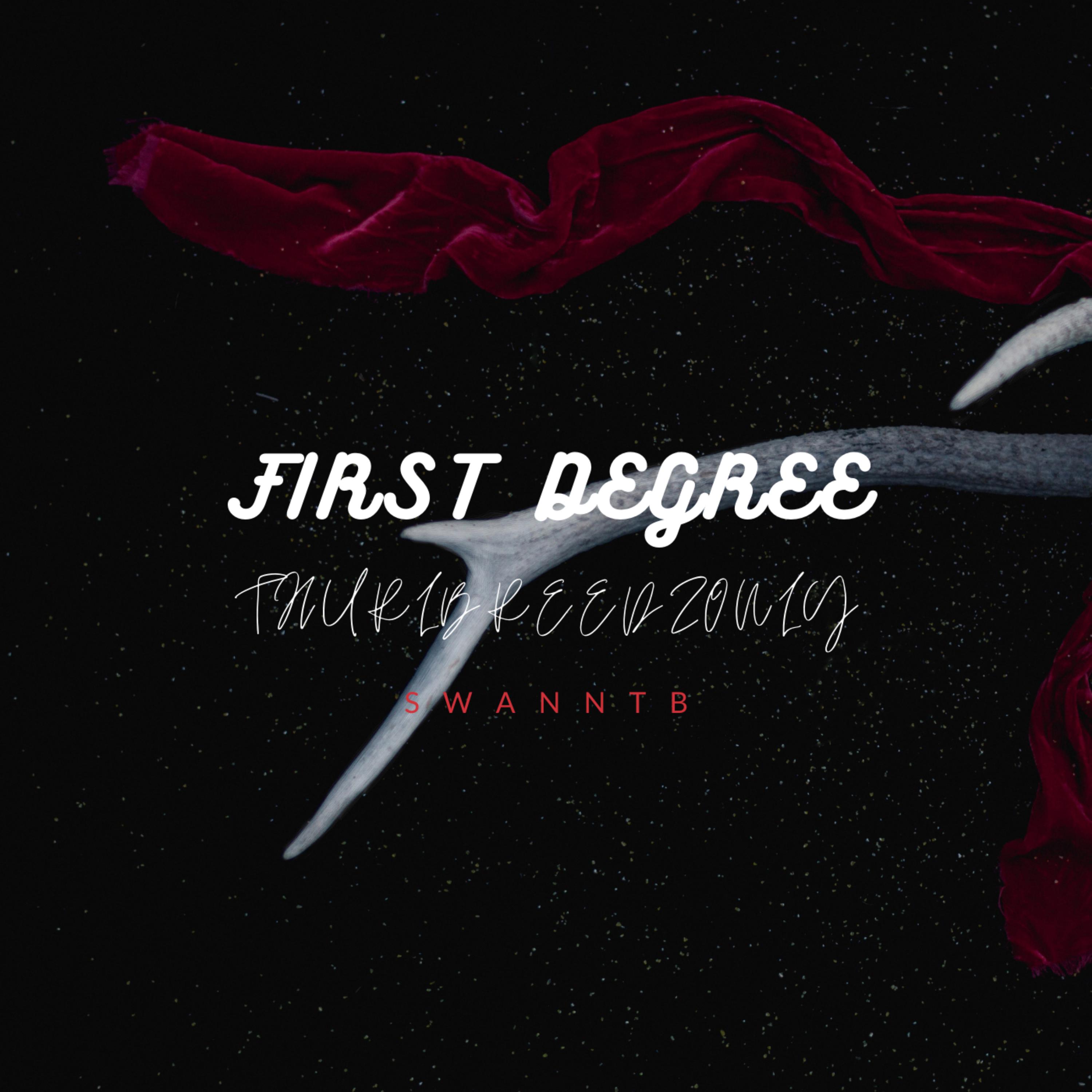 First Degree artwork