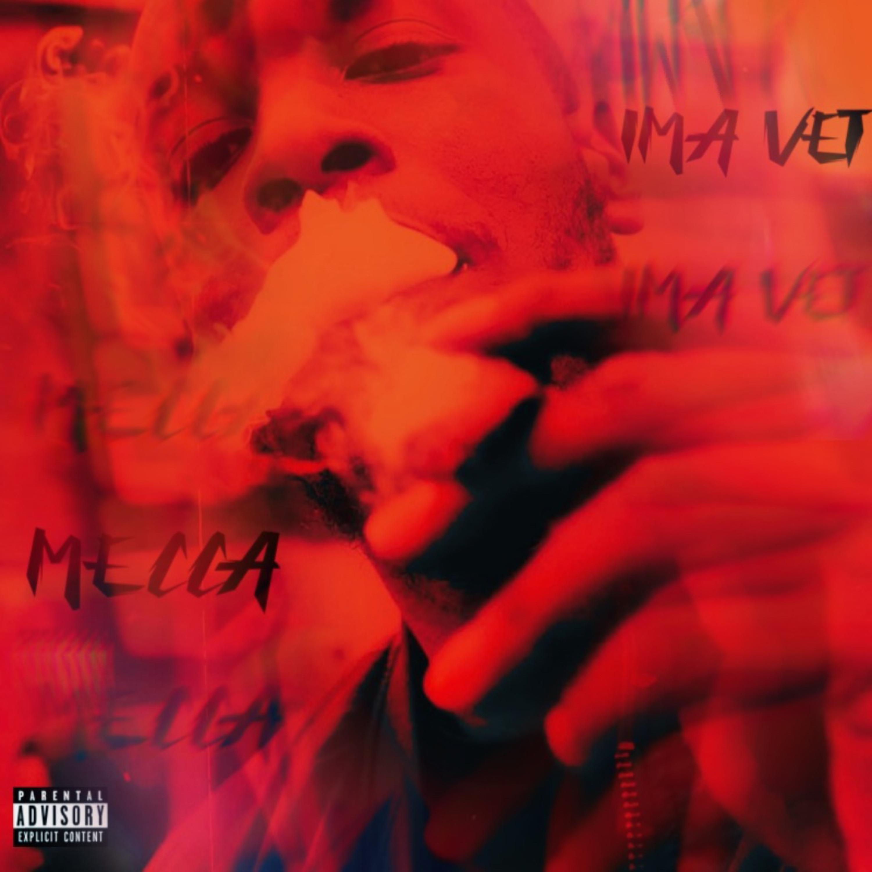 Ima Vet artwork