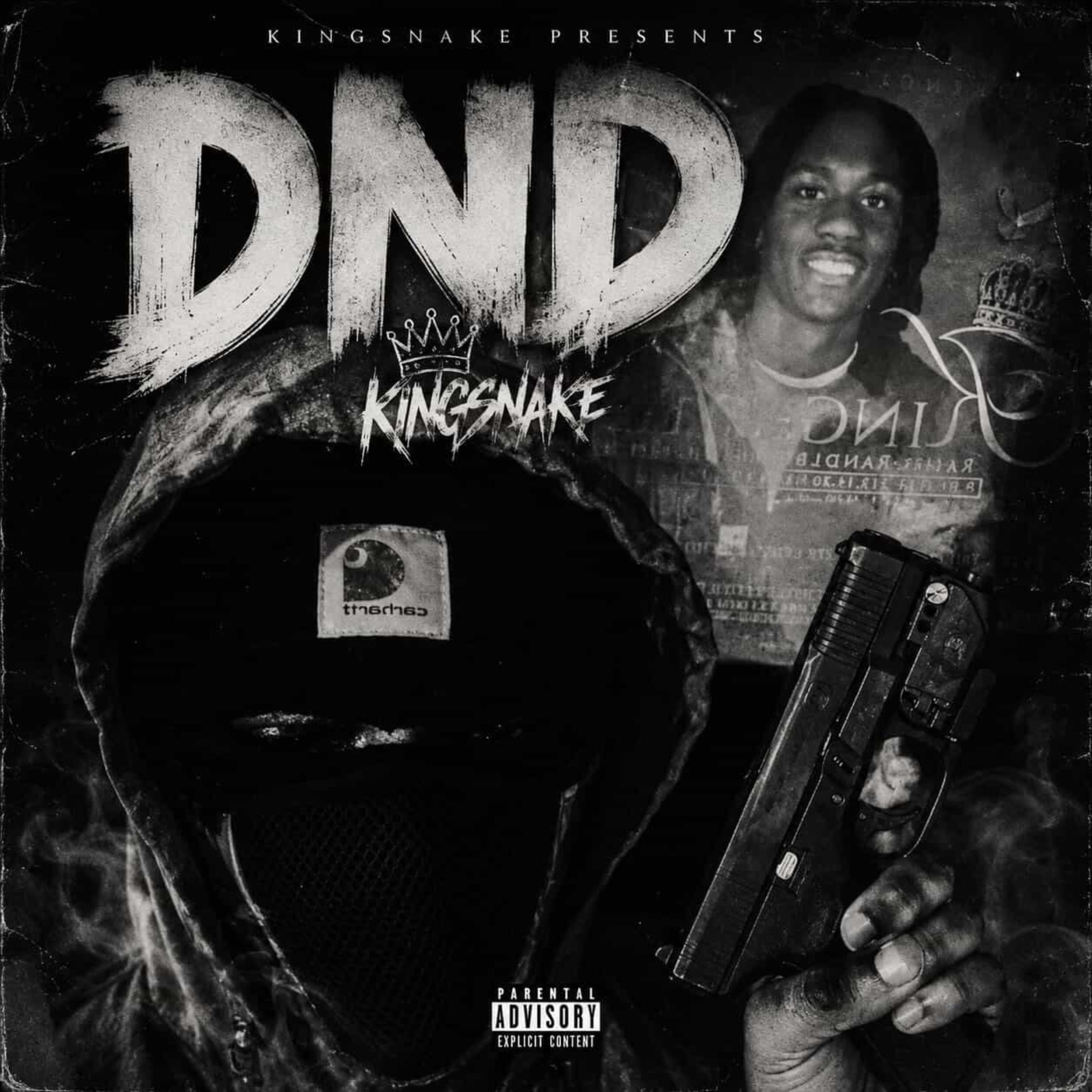 DND by Kingsnake cover art