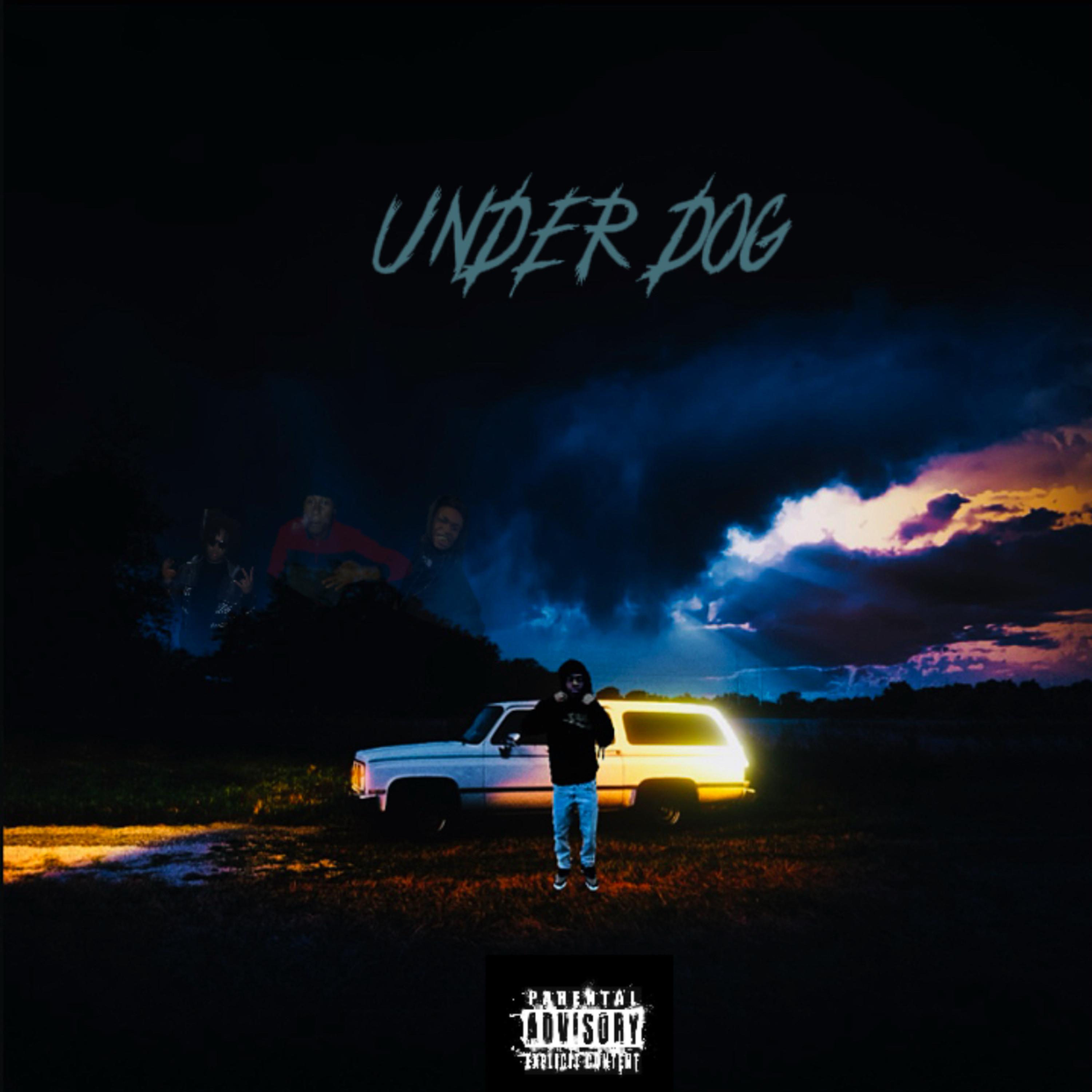 UNDER DOG artwork