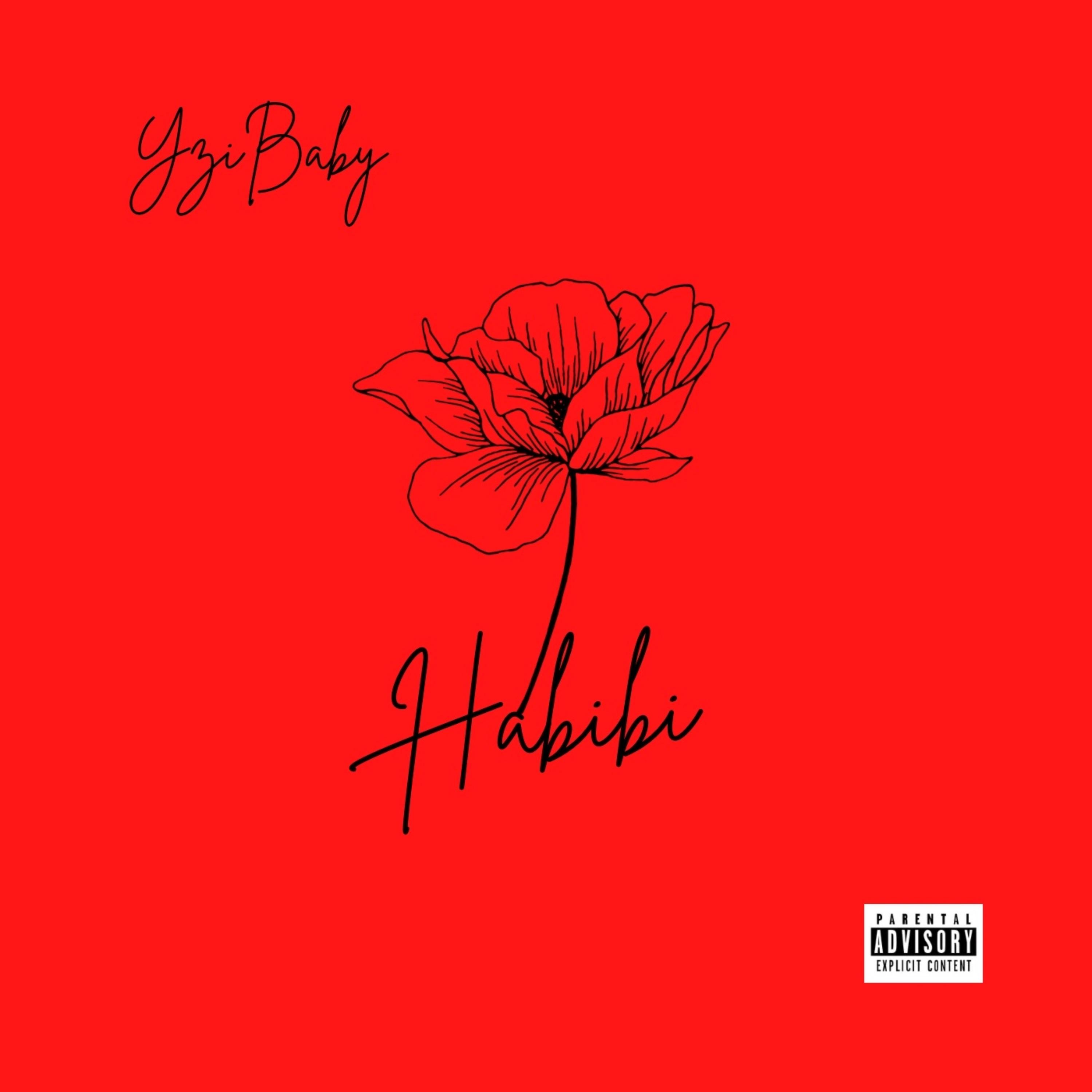 HABIBI artwork