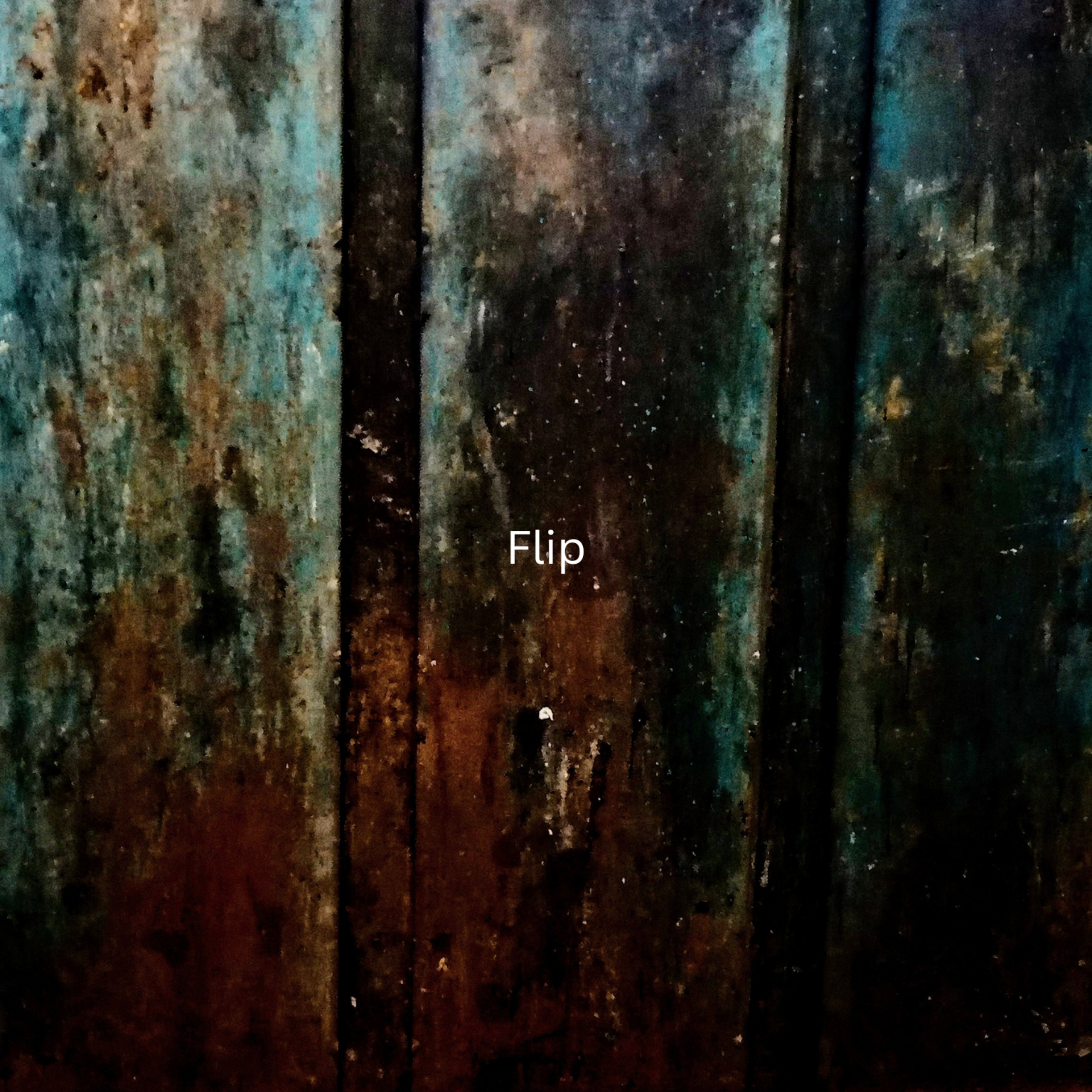 flip artwork