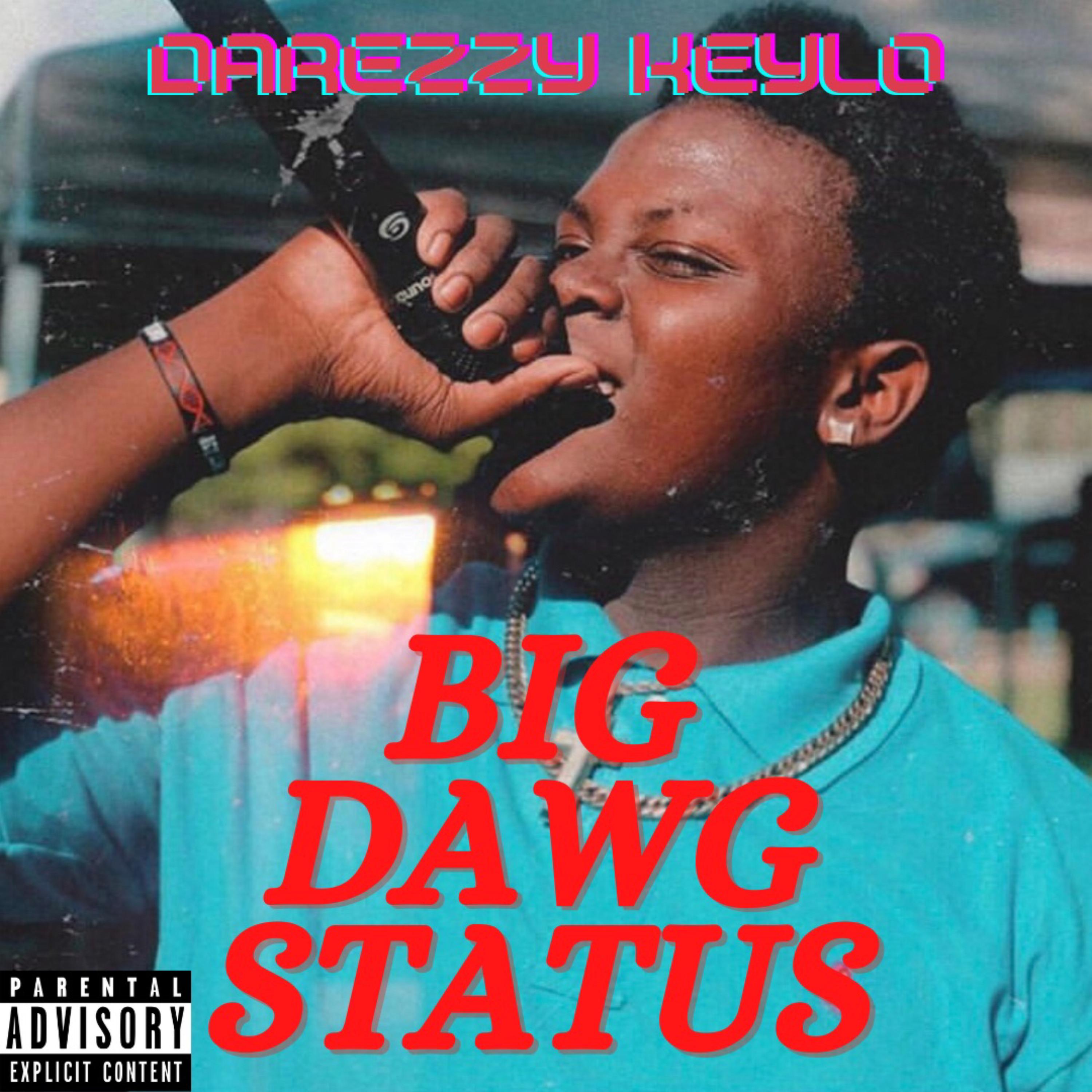 Big Dawg Status artwork