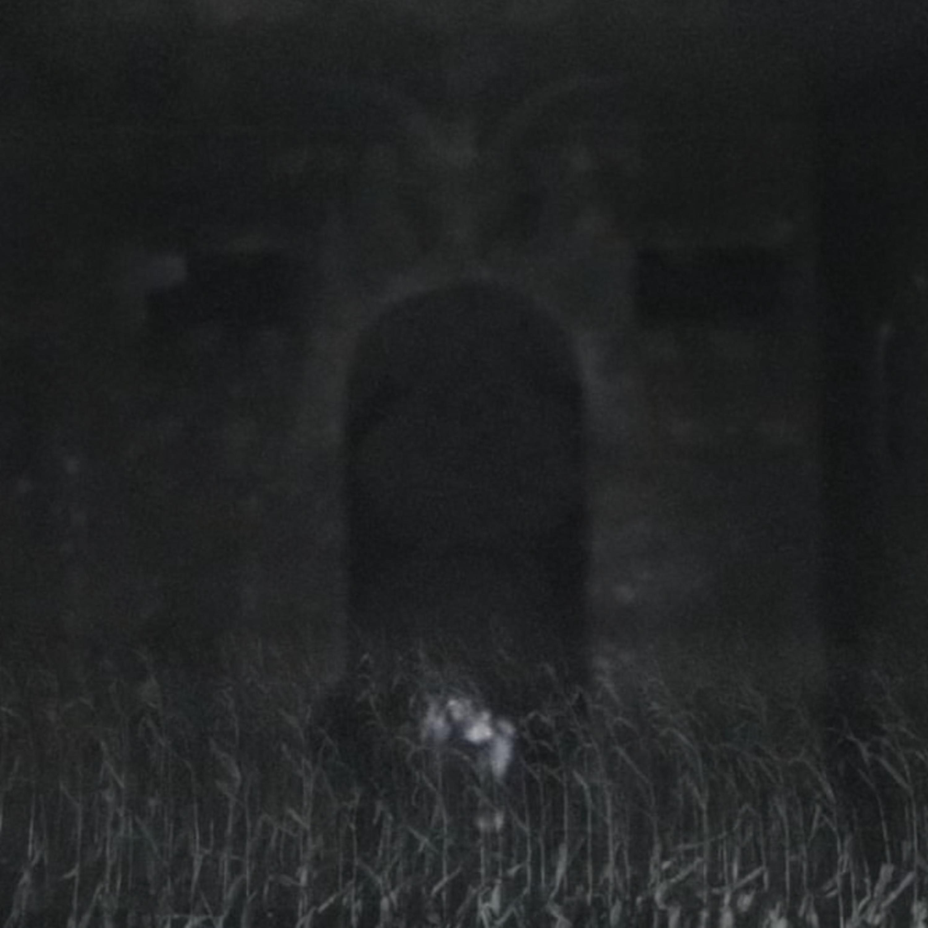 CUTS COMP II artwork