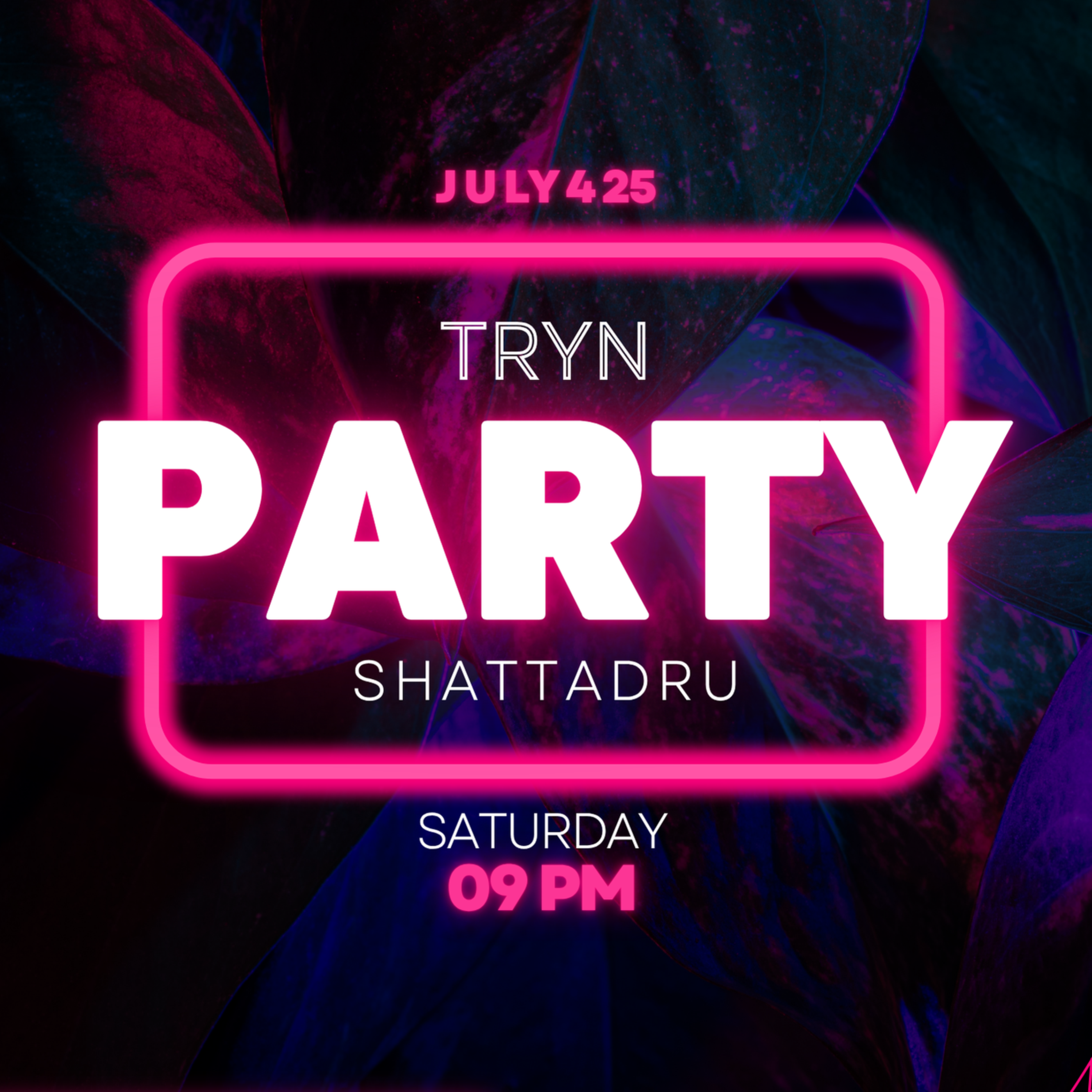 TryN Party artwork