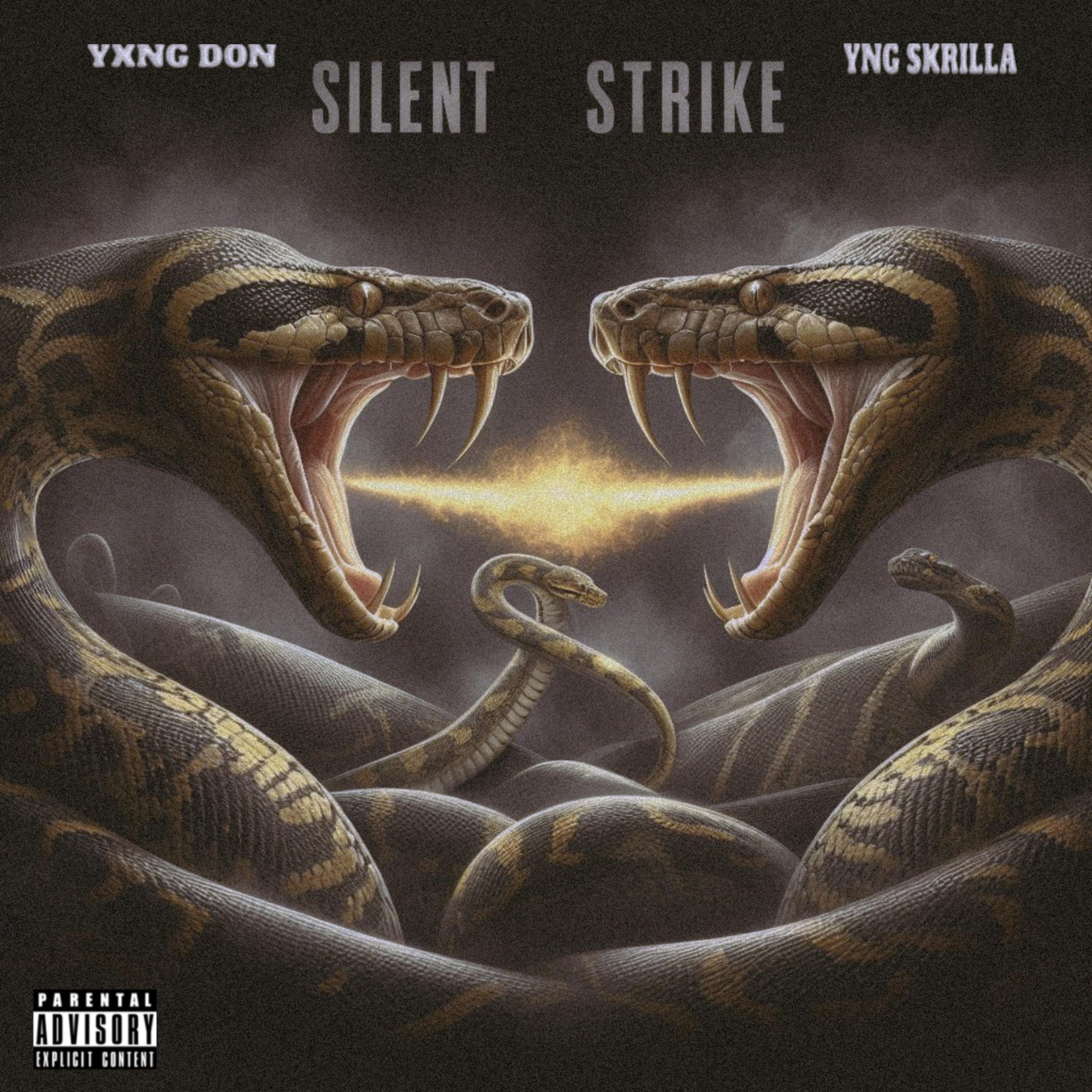 Silent Strike artwork