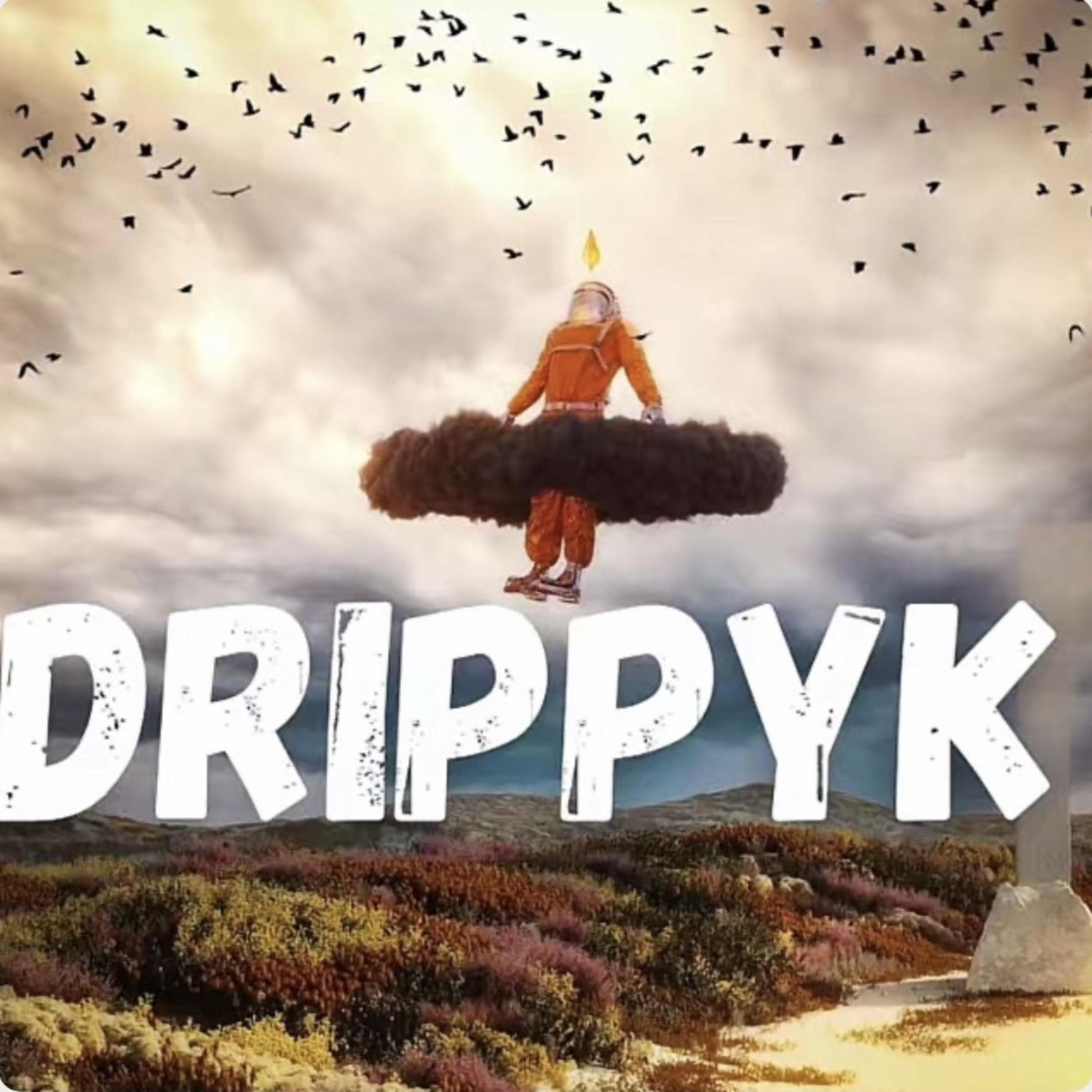 RAV by Drippyk cover art