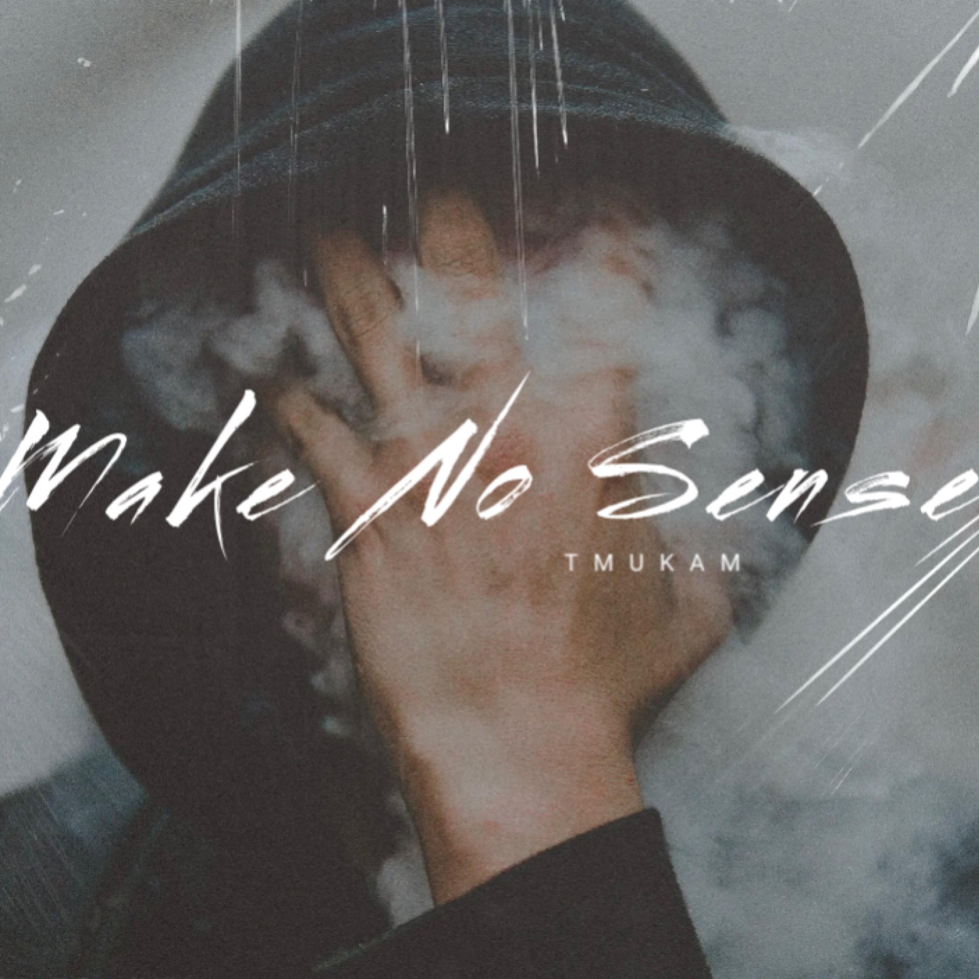 Make No Sense by TMUKAM cover art