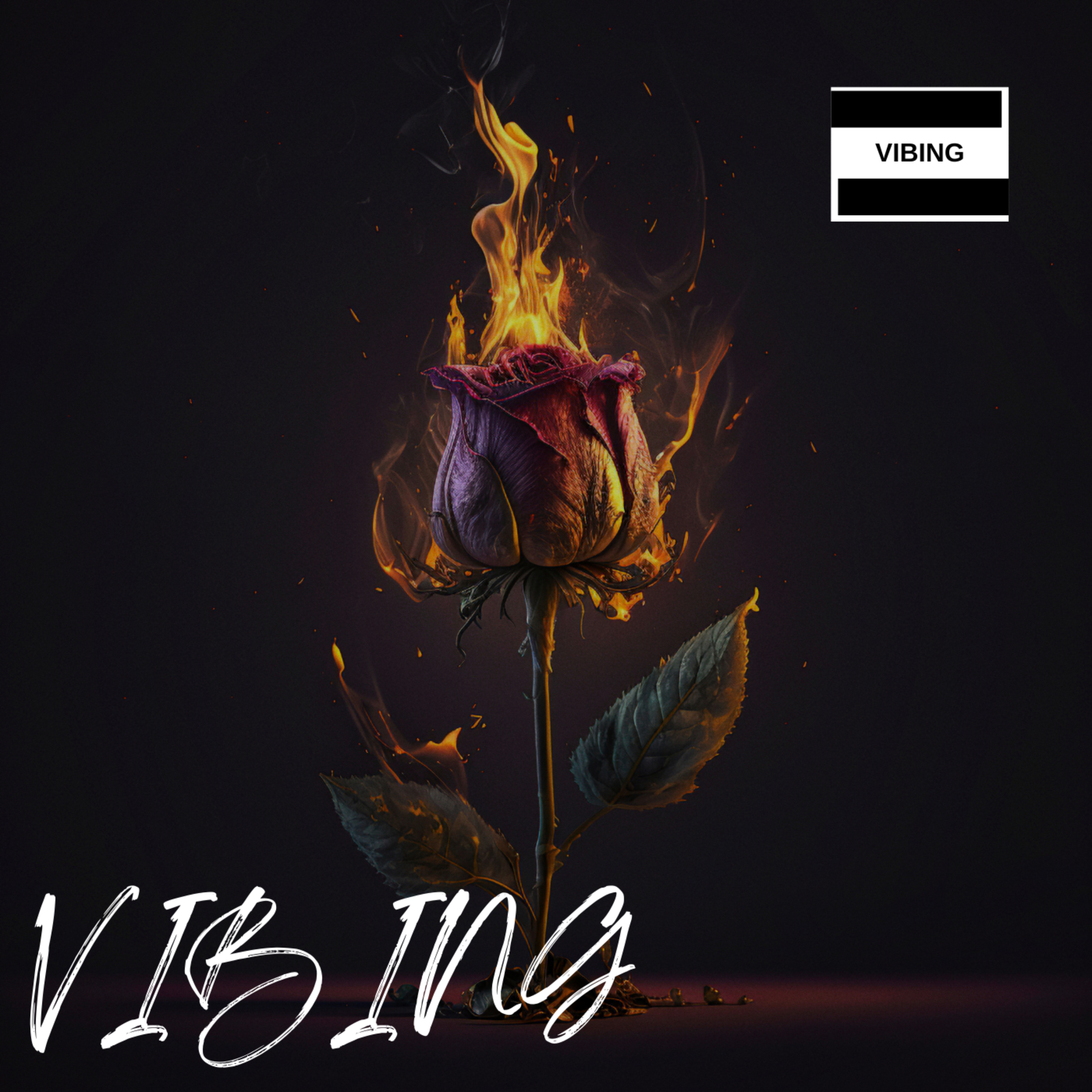 VIBING artwork