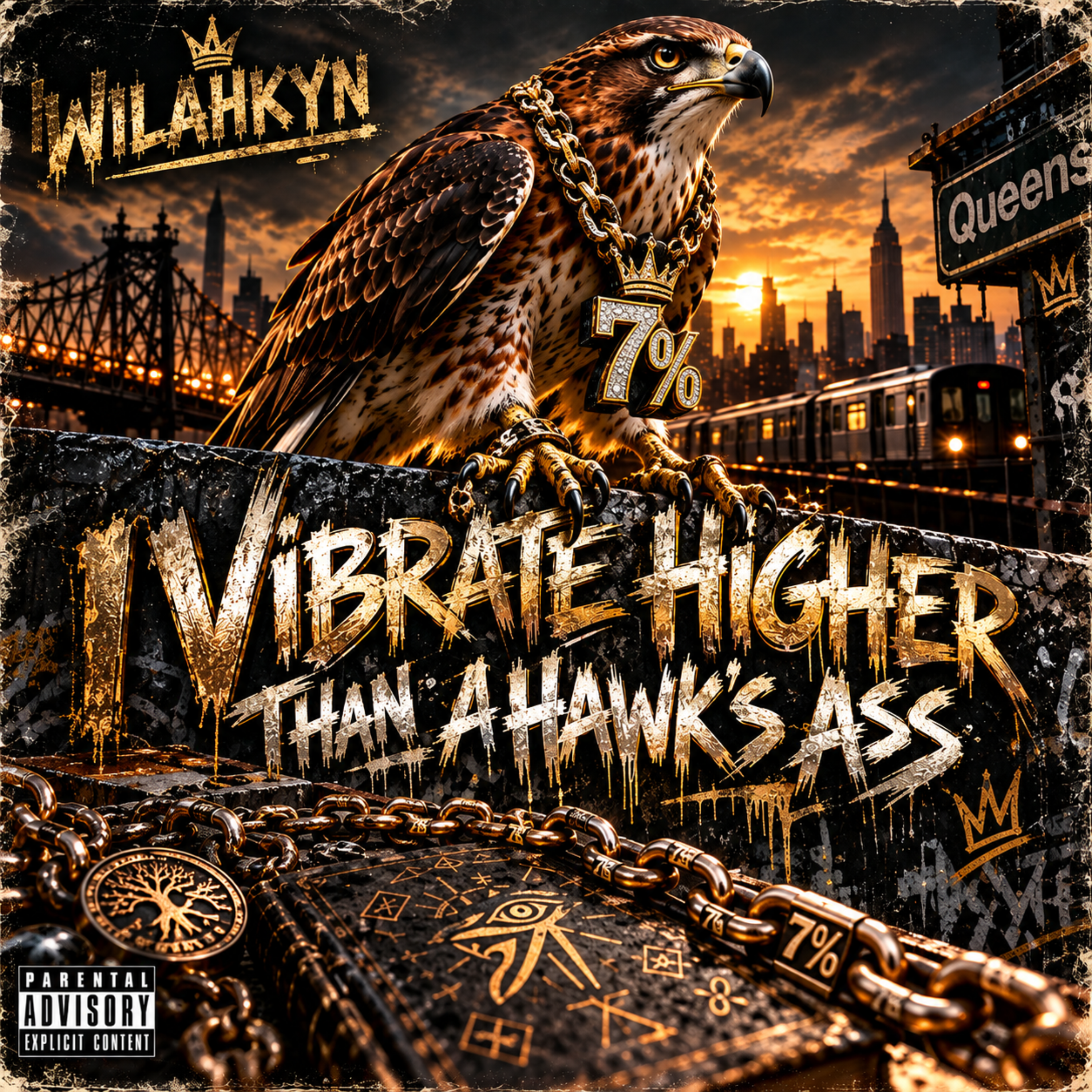 I Vibrate Higher Than A Hawk's Ass by Wilahkyn cover art