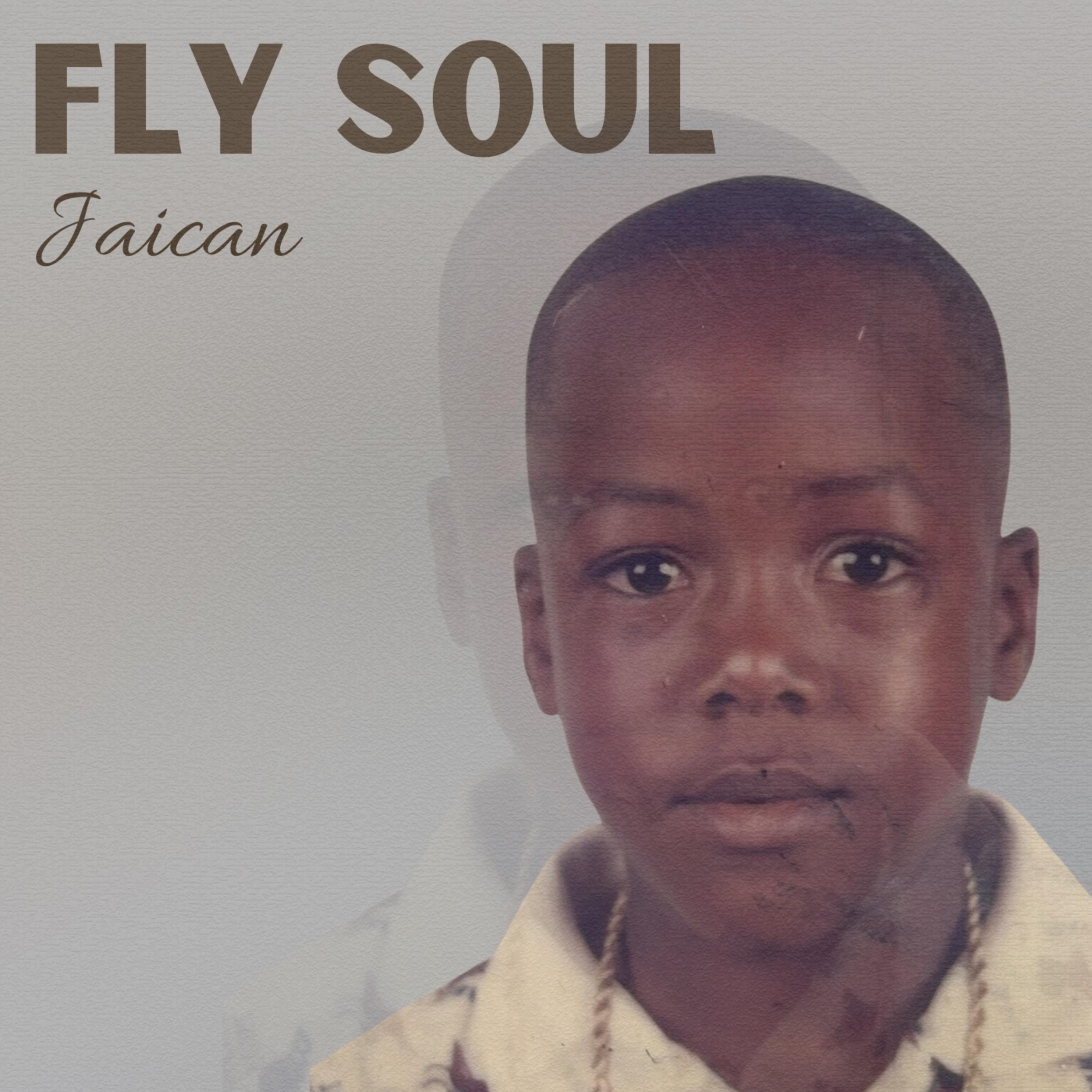Fly Soul artwork