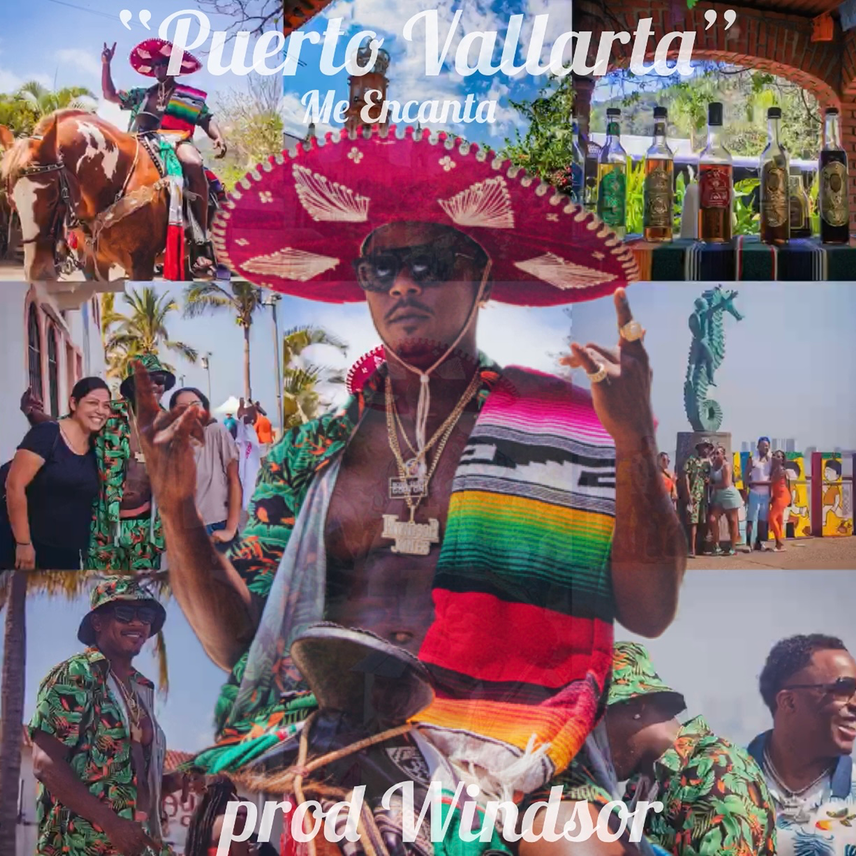 Puerto Vallarta (Me Encanta) artwork