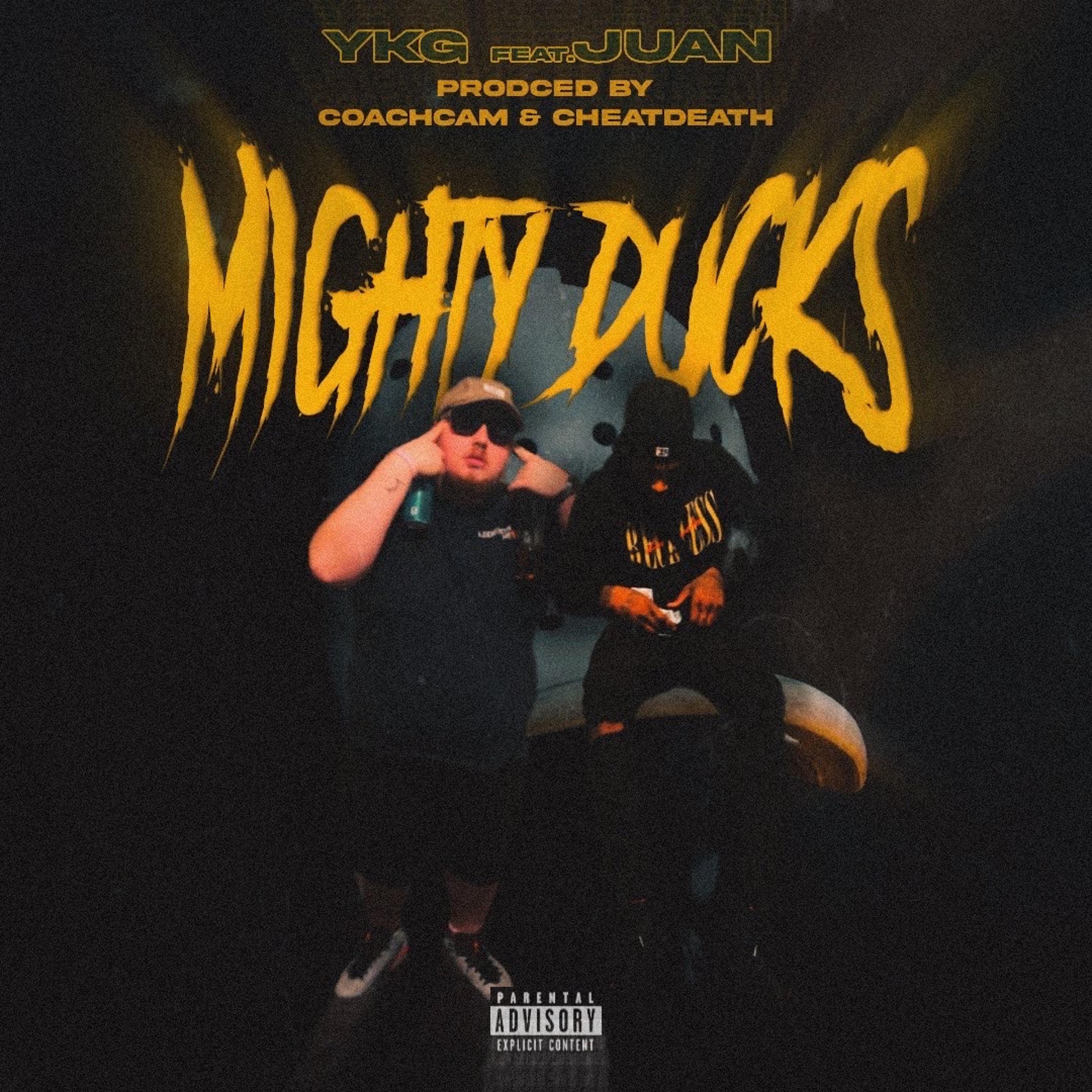 Mighty Ducks artwork