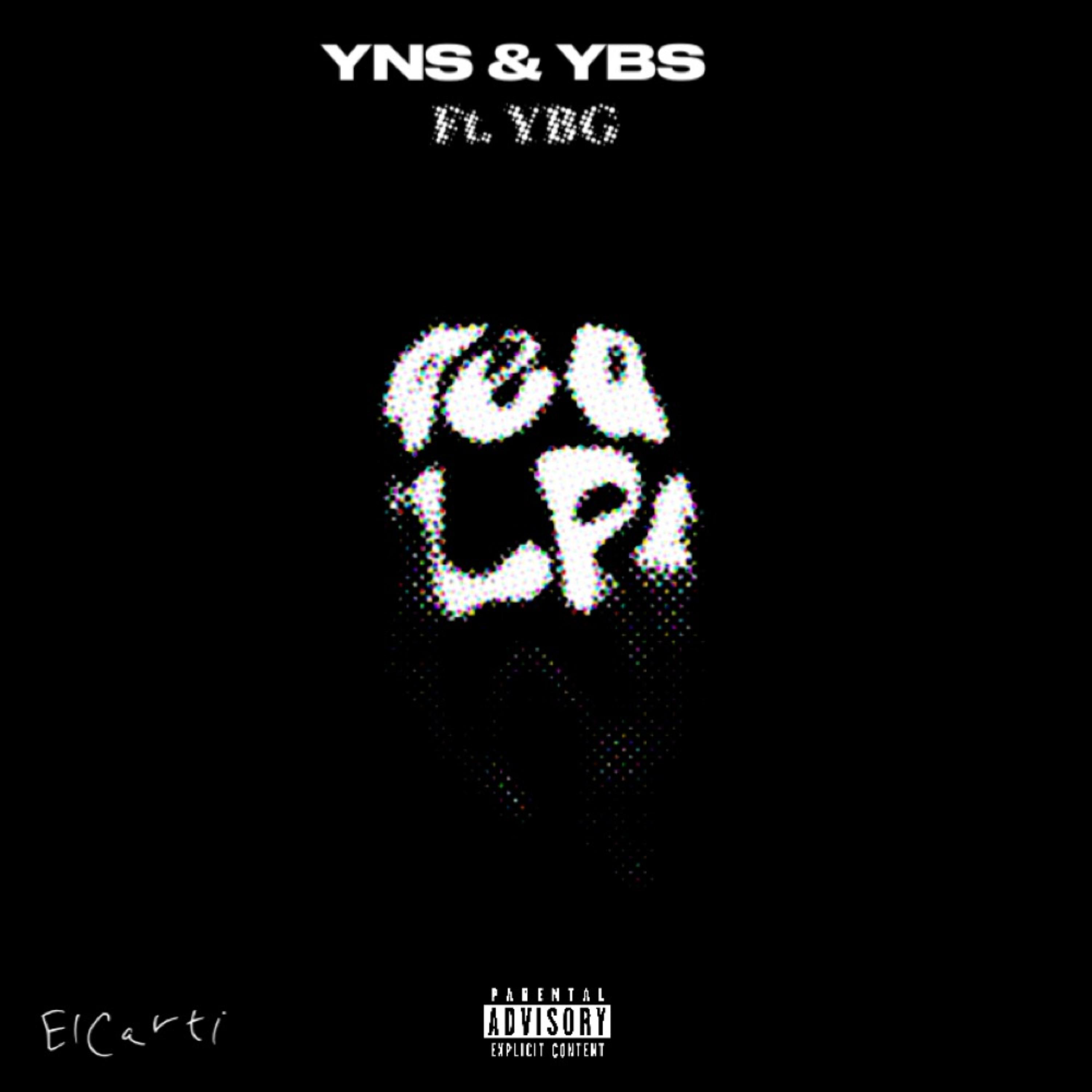 YNS & YBS artwork
