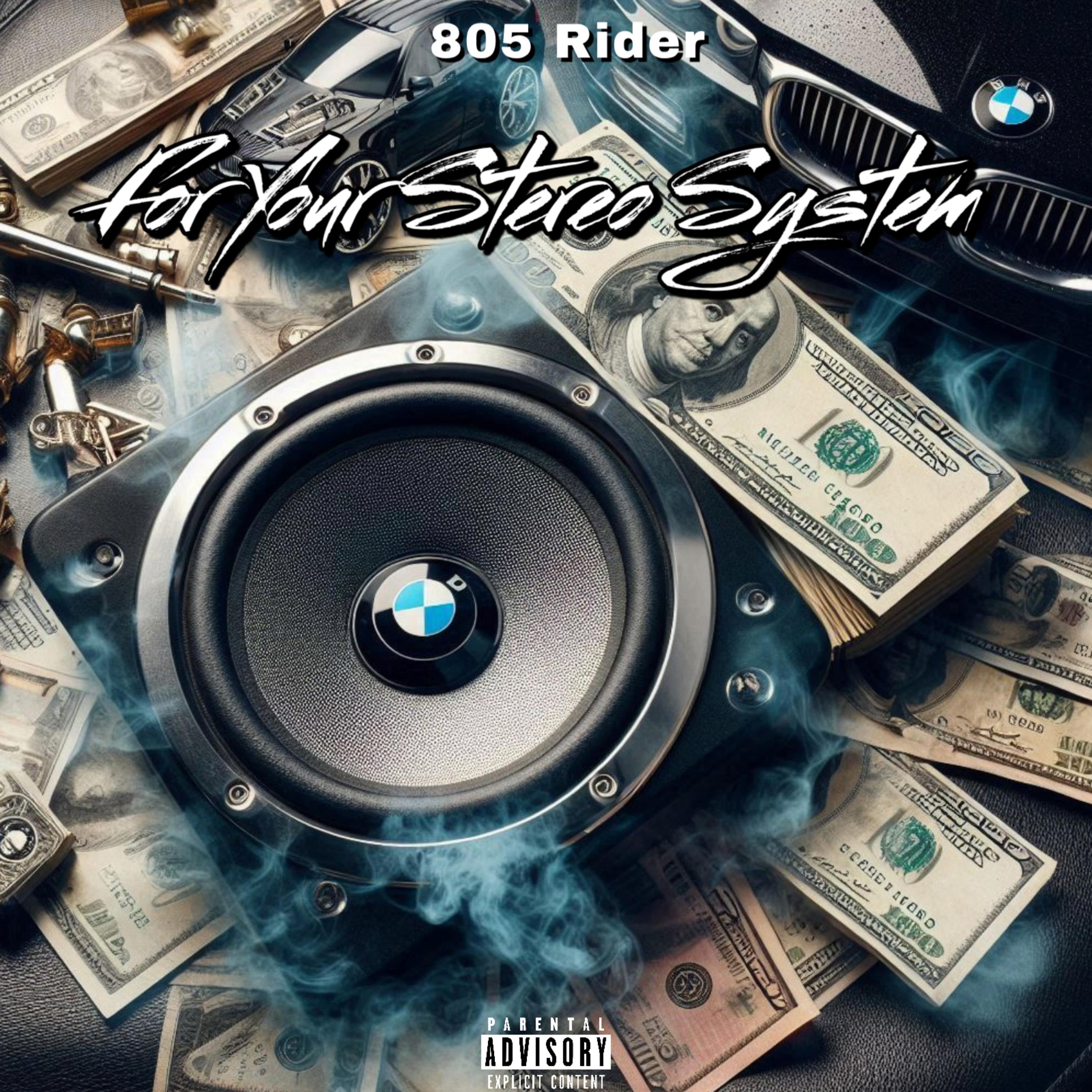 For Stereo System artwork