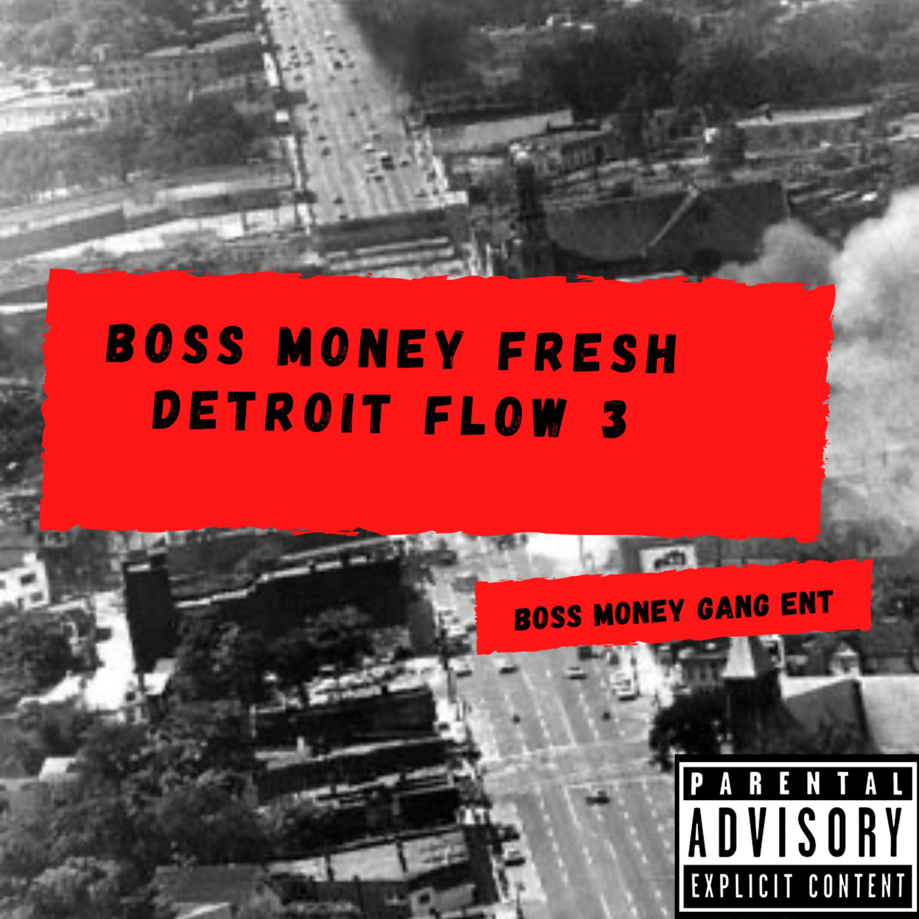 Detroit Flow 3 artwork