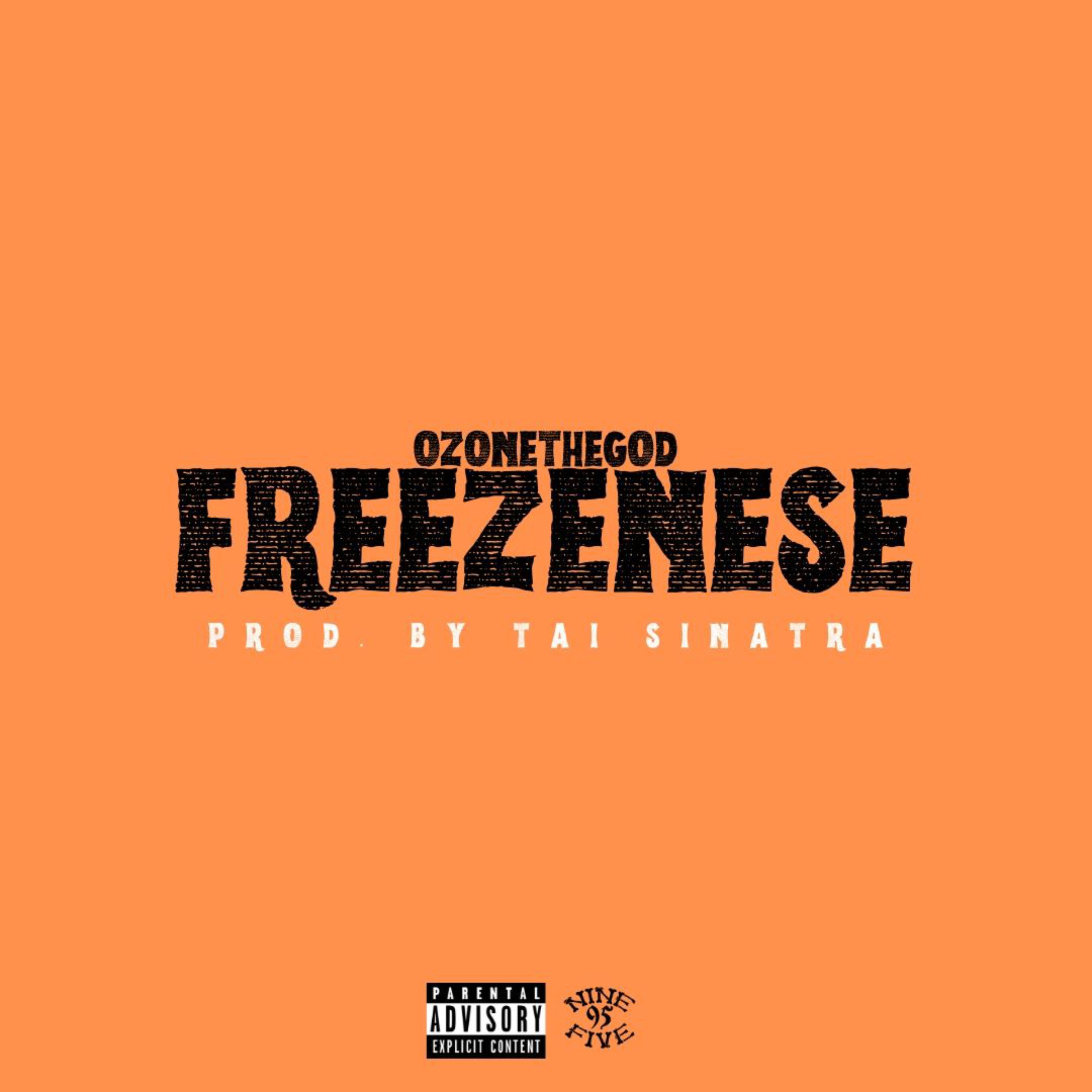 FREEZENESE artwork