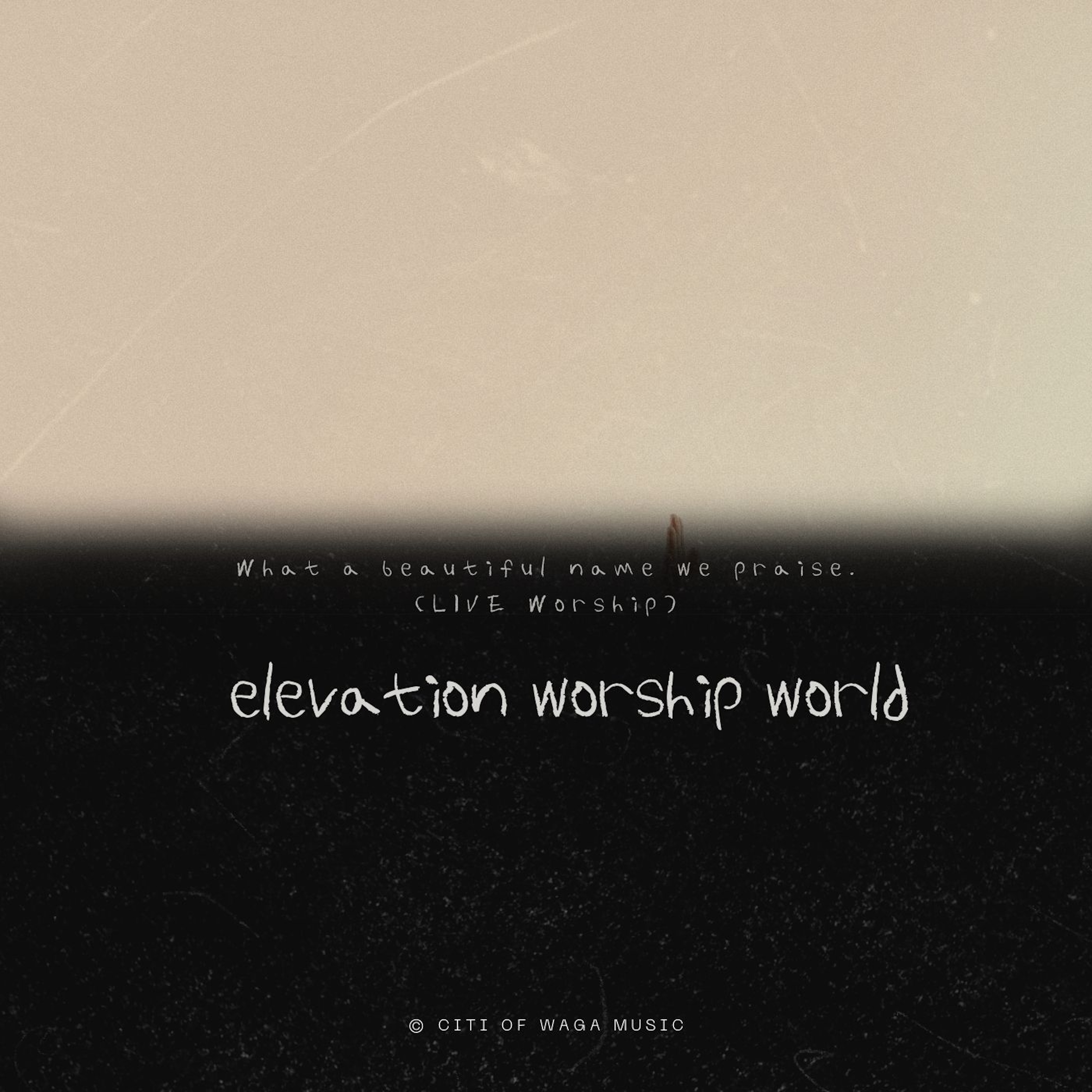 What A Beautiful Name We Praise (LIVE Worship) artwork