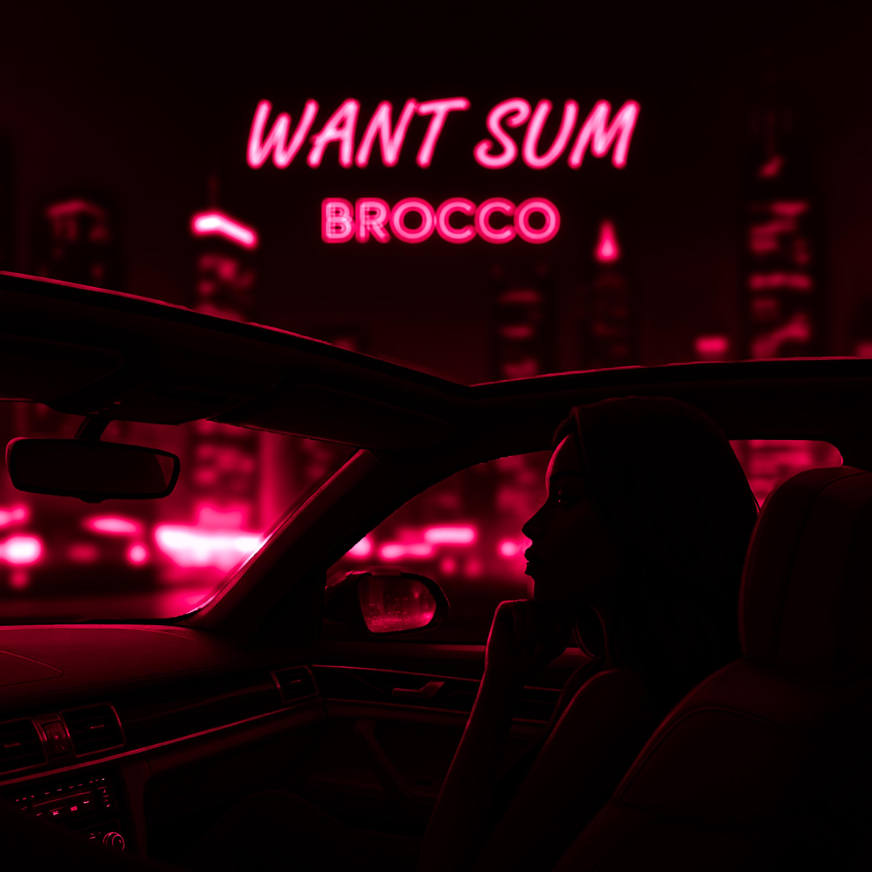 Want Sum artwork