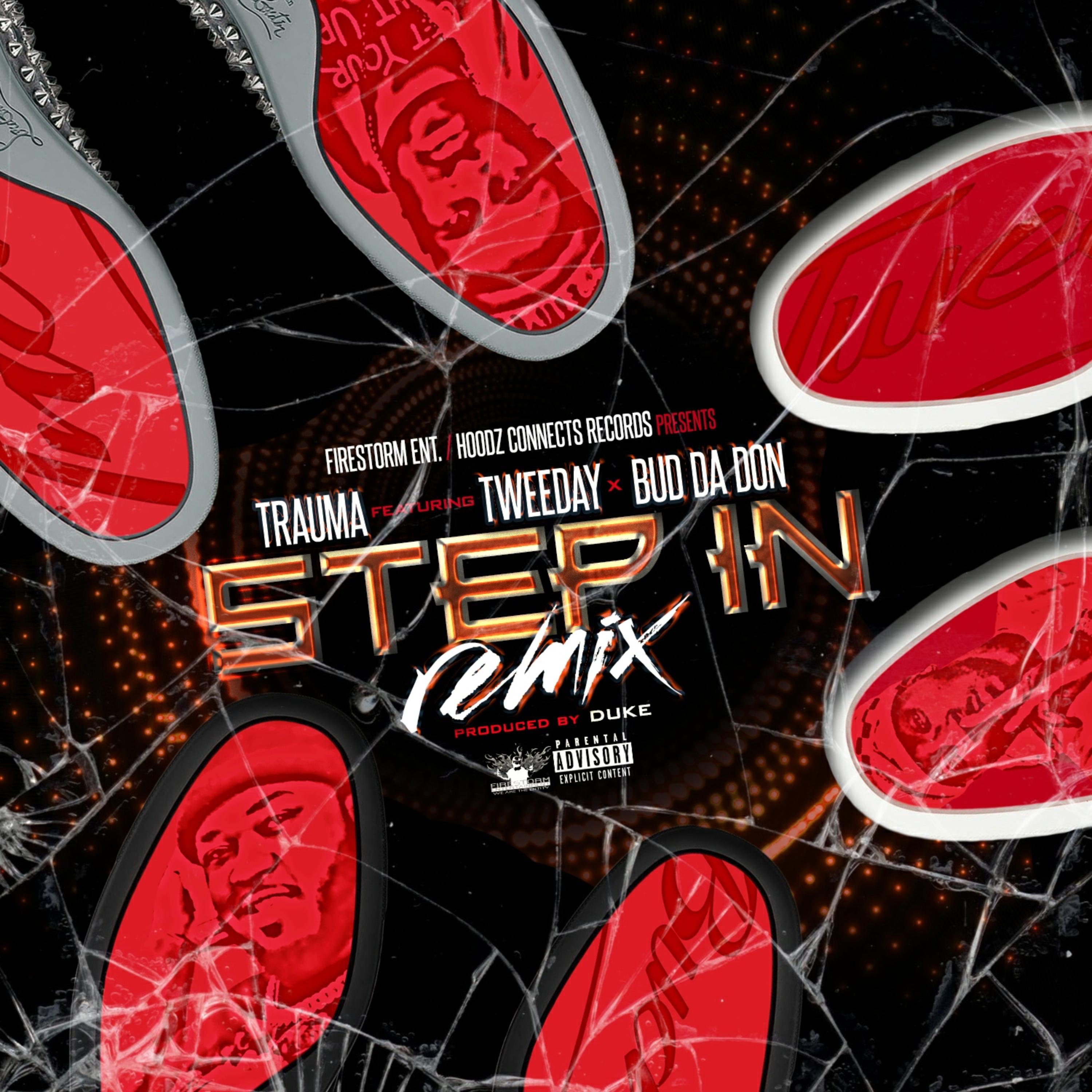 Step In Remix artwork