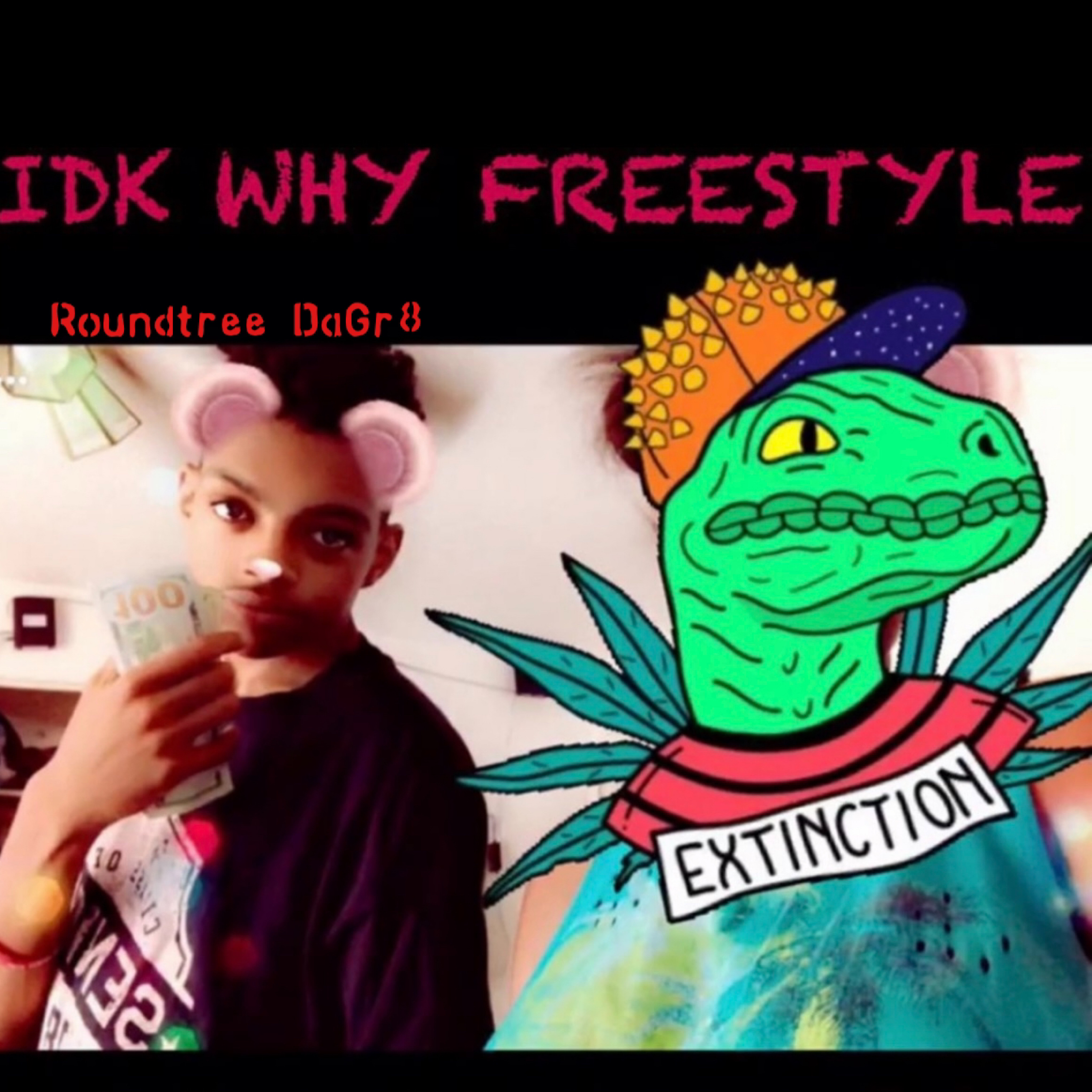 IDK WHY Freestyle by Roundtree DaGr8 cover art