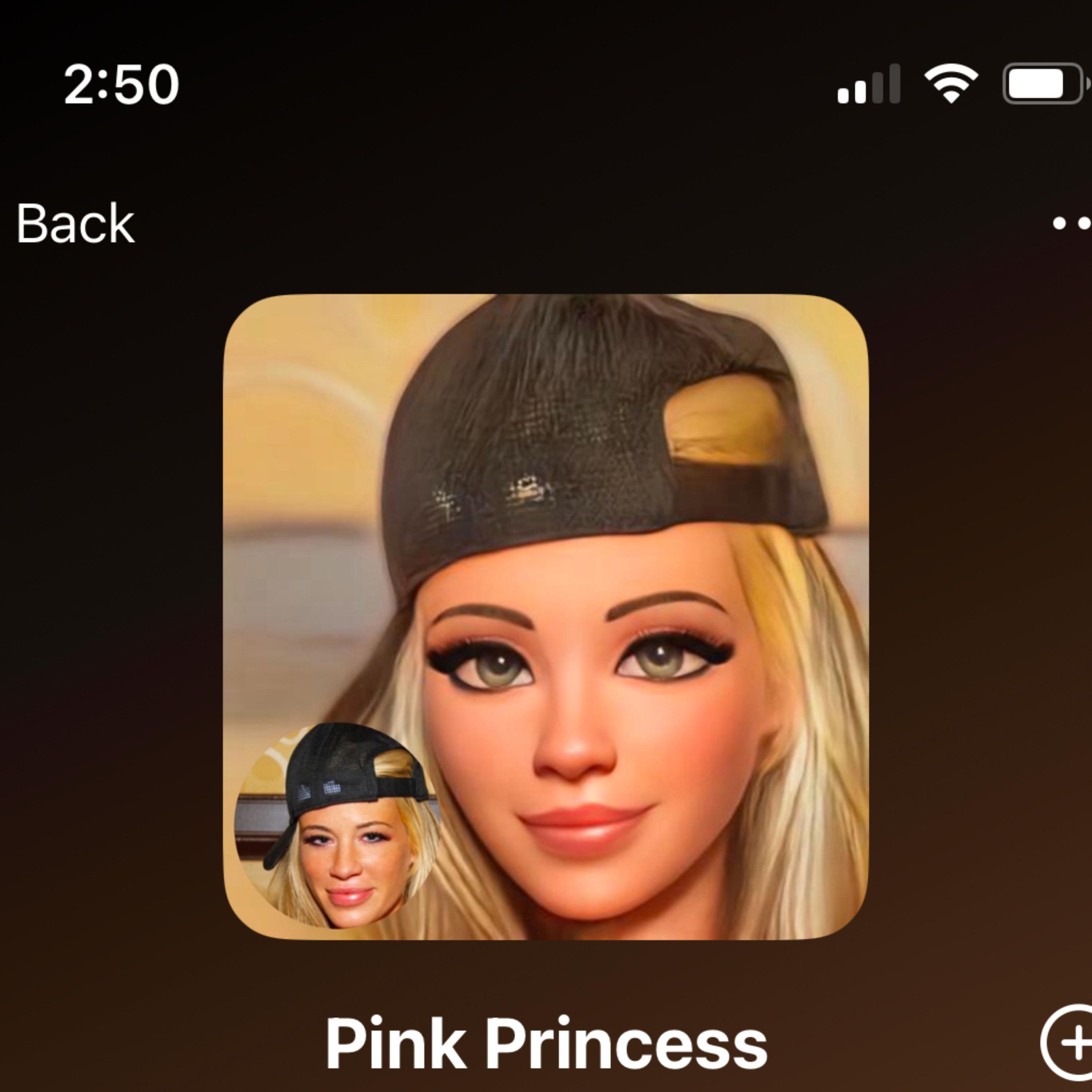 Pink Princess artwork