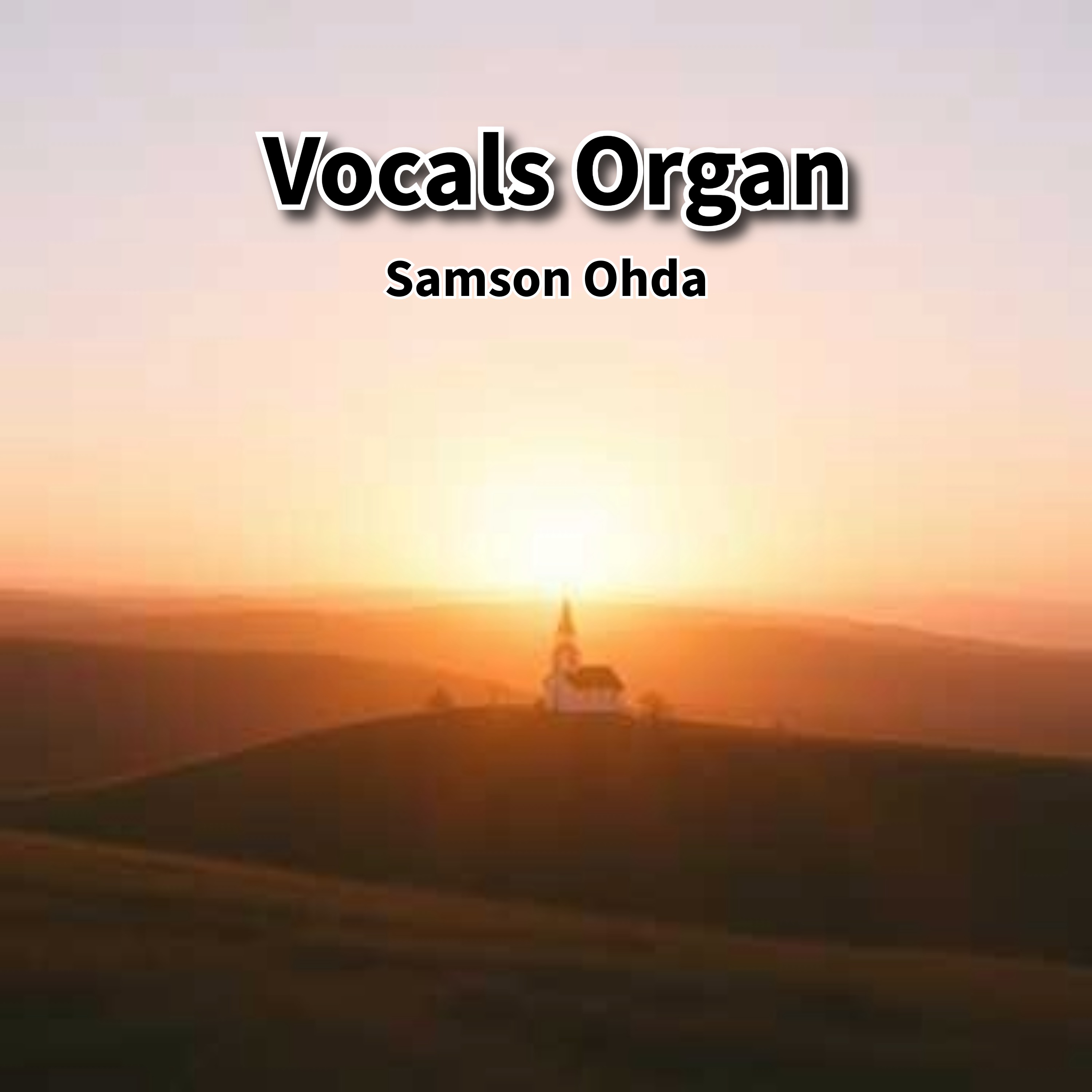 Vocals Organ Gospel Vol 1 artwork