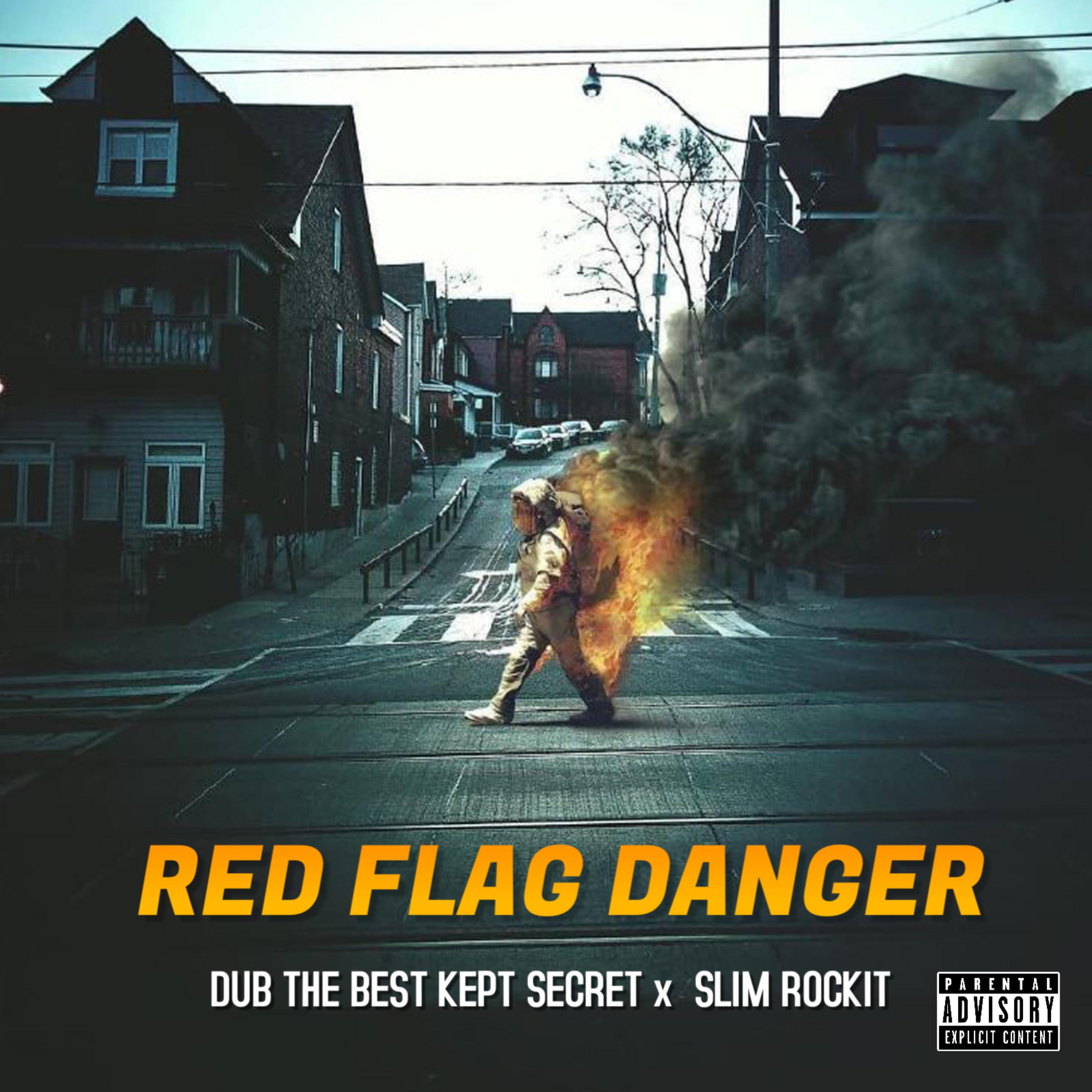 Red Flag Danger by Dub The Best Kept Secret cover art