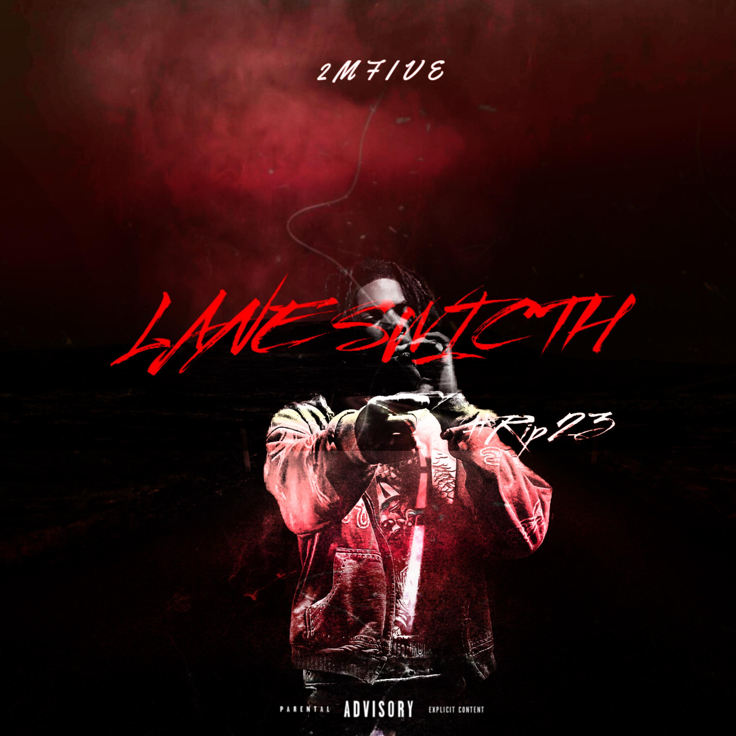 Lane 2 Switch artwork