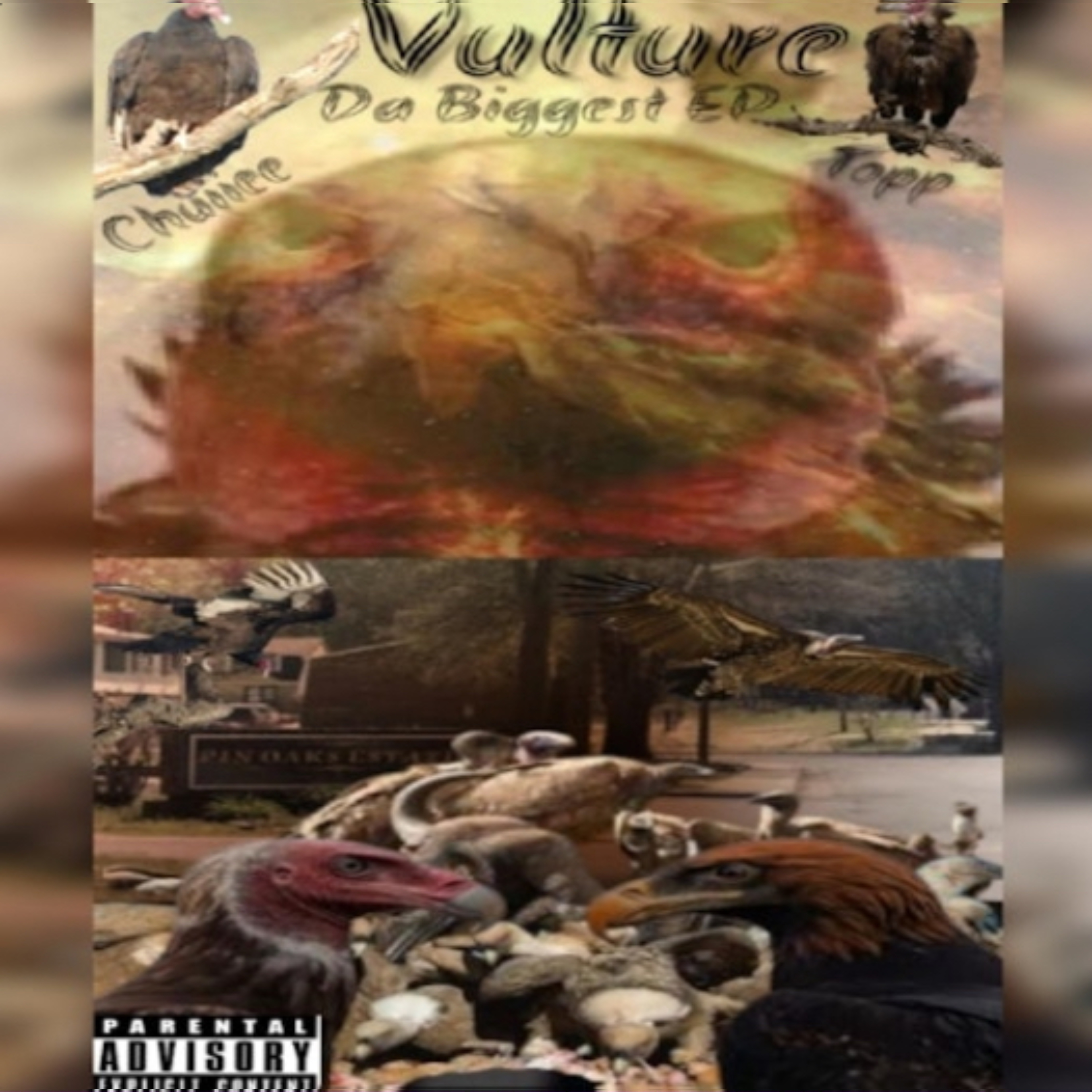 Vultures ( Da Biggest EP ) artwork