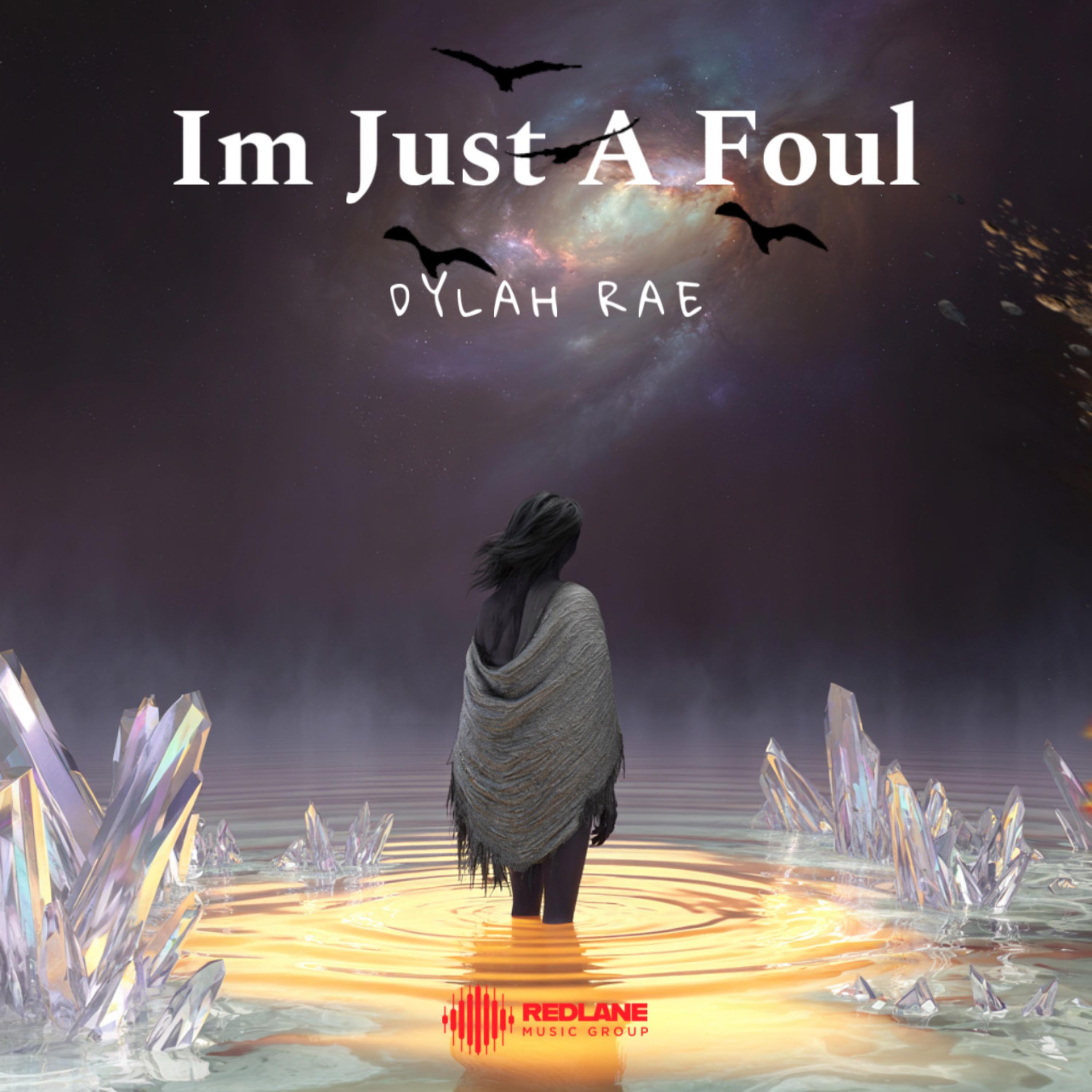 I’m Just A Foul artwork