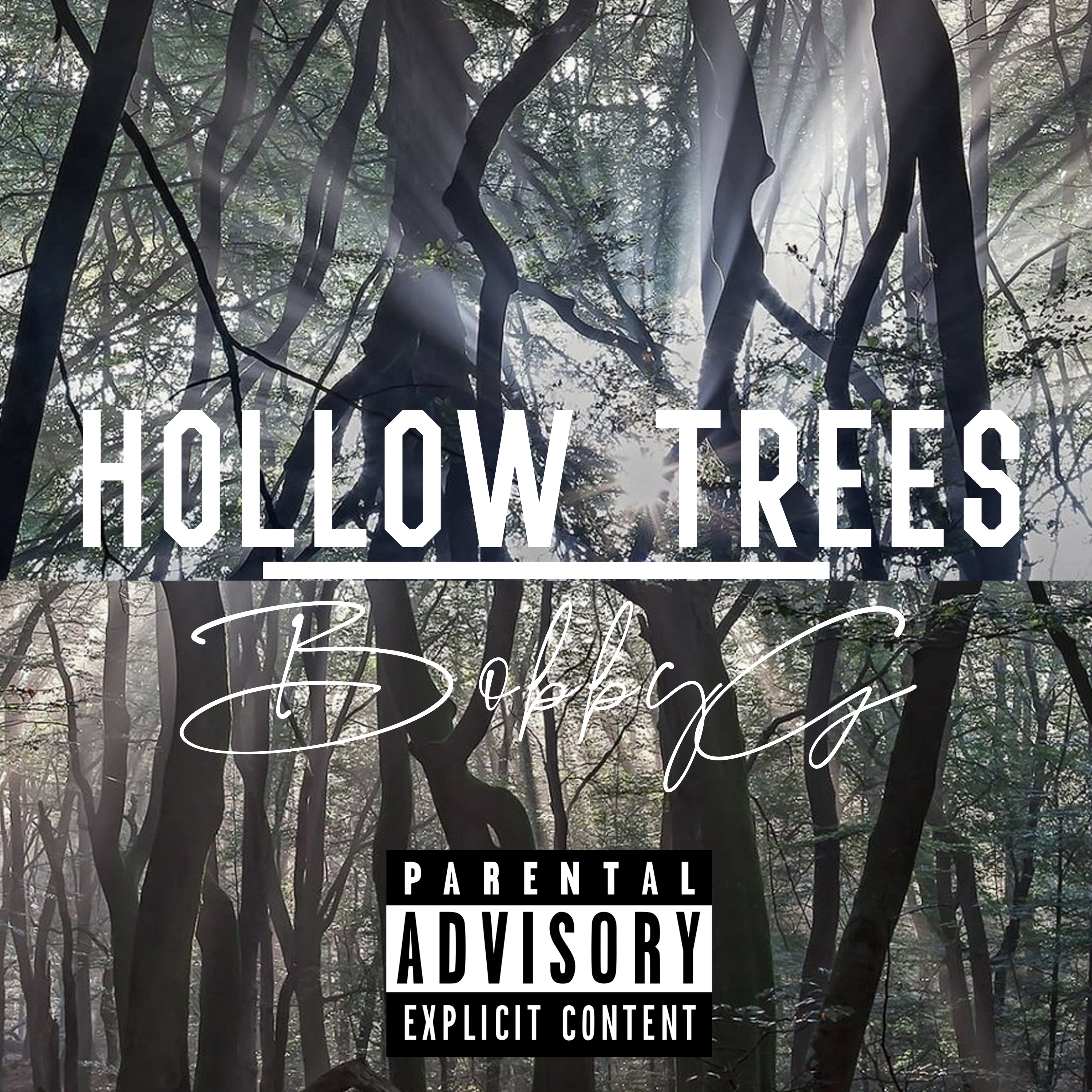 Hollow Trees by BobbyG cover art