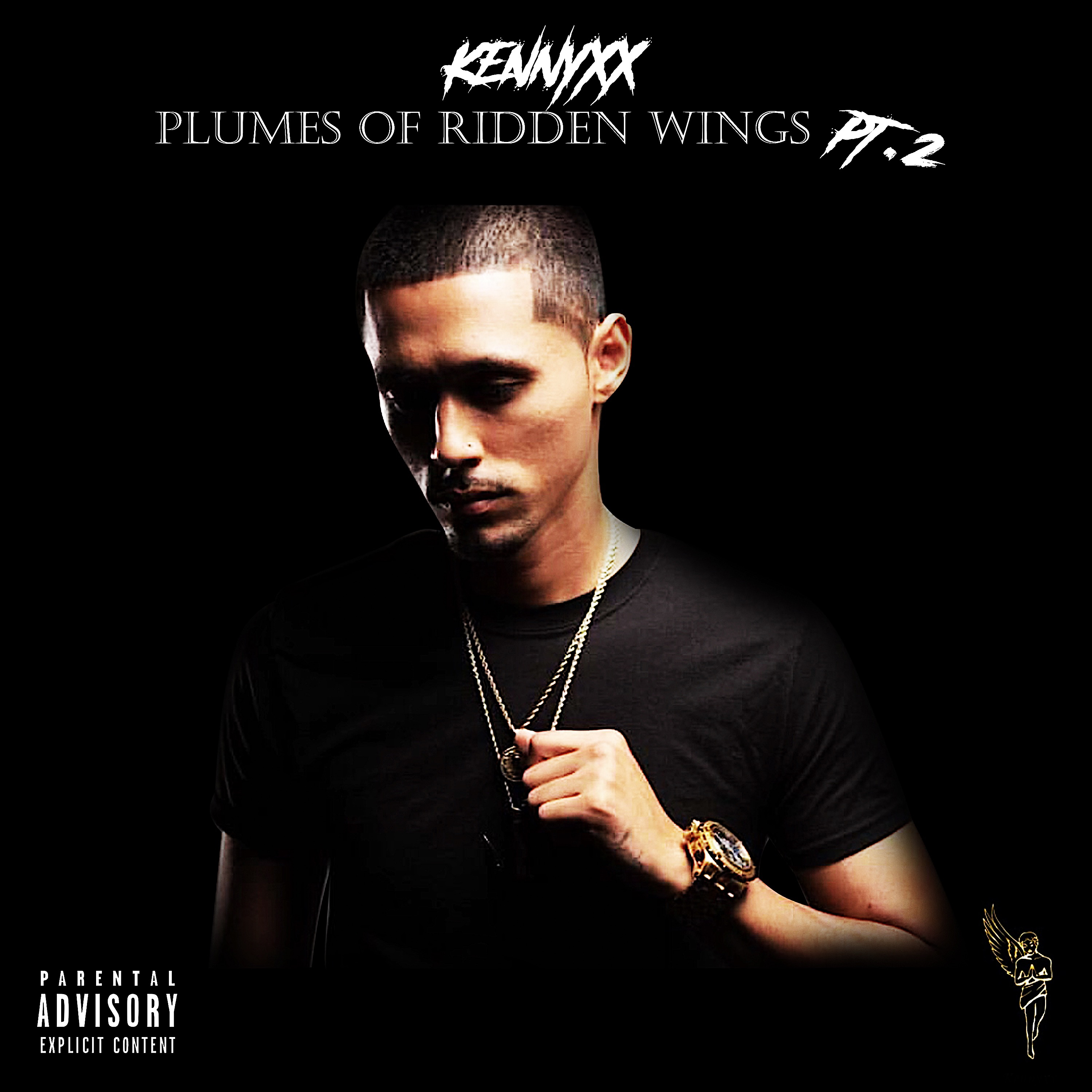 Plumes Of Ridden Wings Part 2 artwork