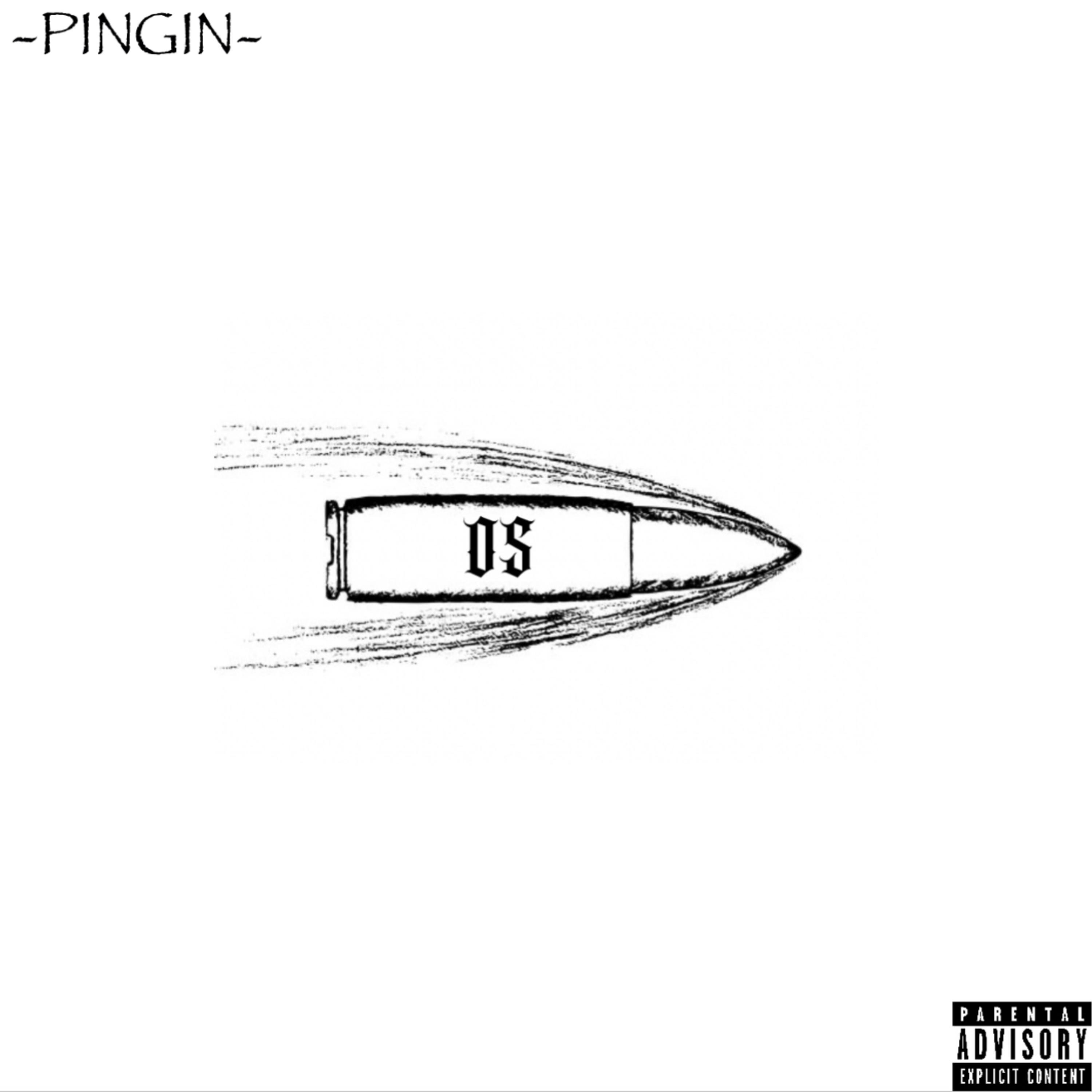PINGIN artwork