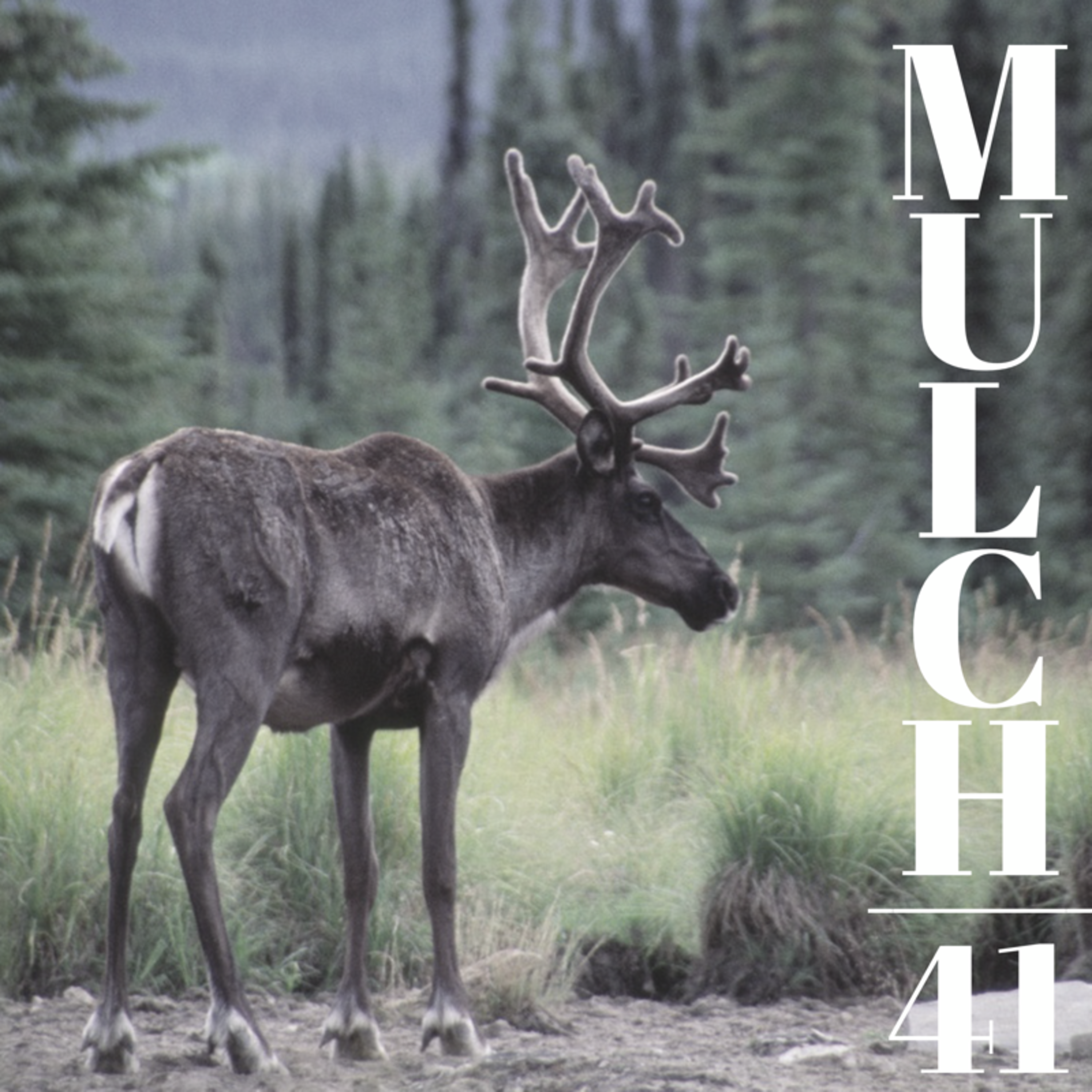 CARIBOU (Mulch Ep. 41) artwork