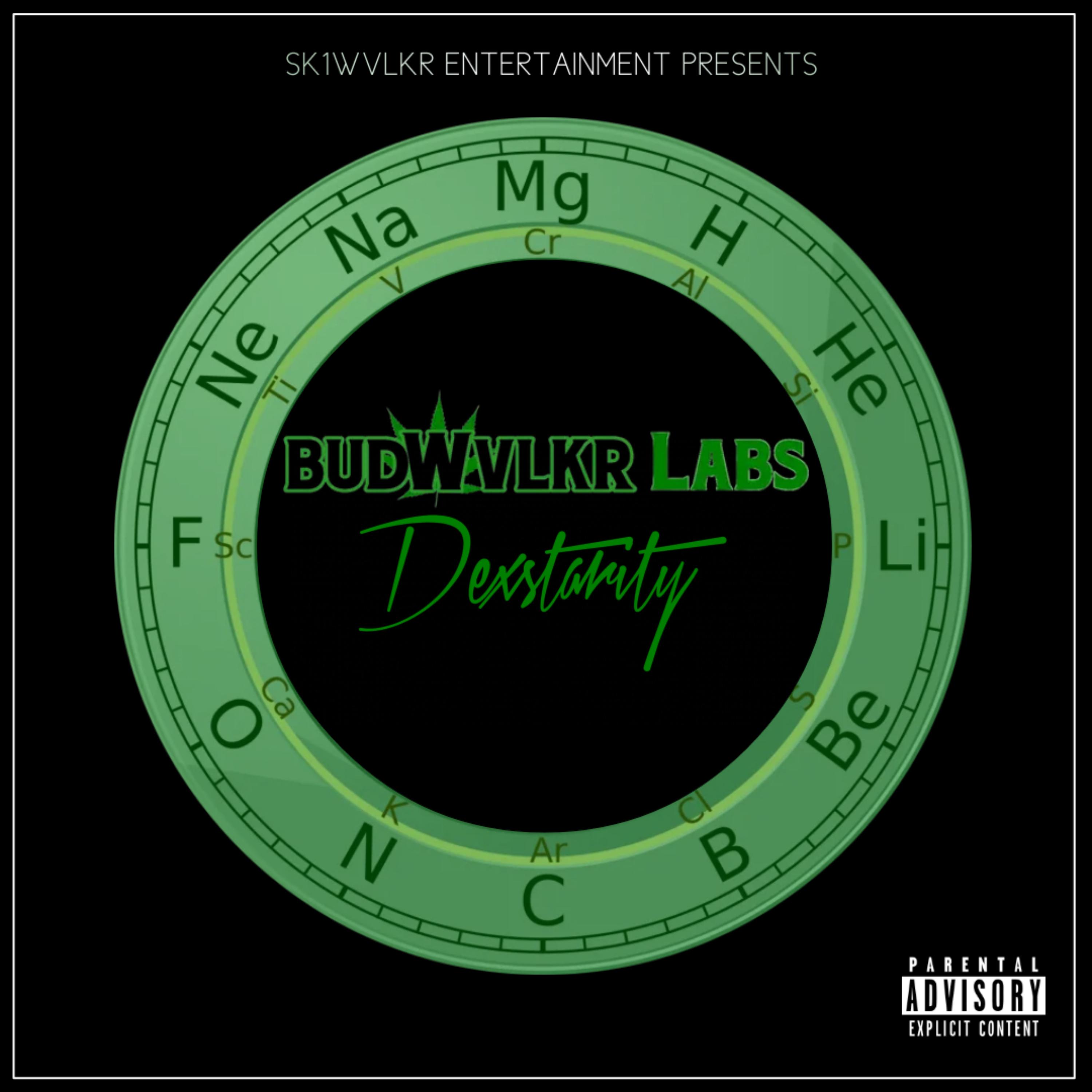 Budwvlkr Labs artwork